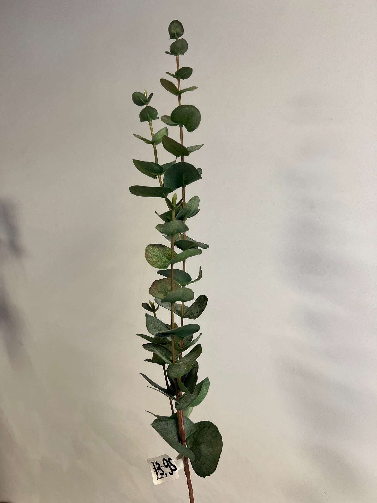 ZIJDEN | EUCALYPTUS | 81 CM