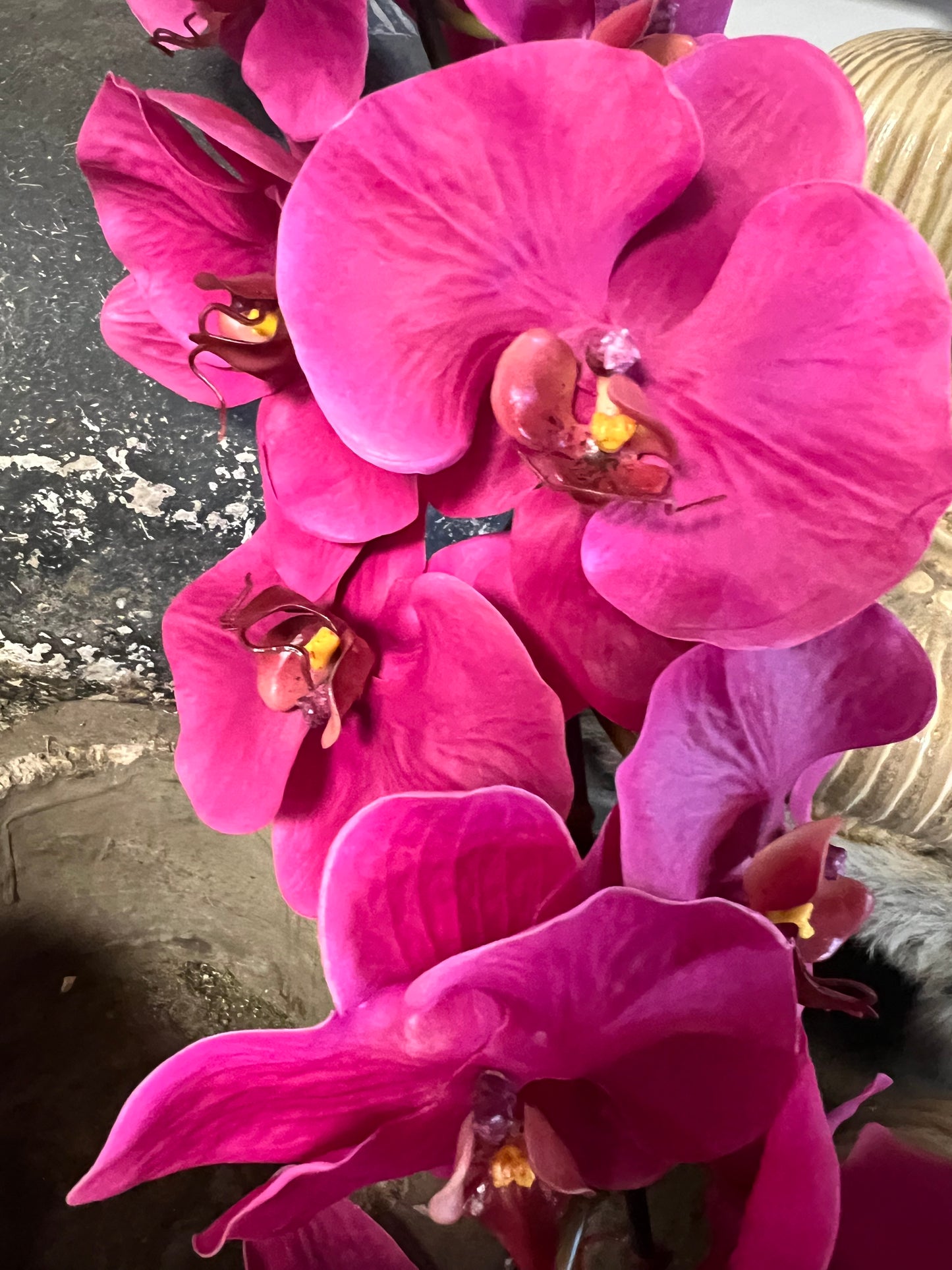 KUNST | ORCHIDEE | FUCCIA