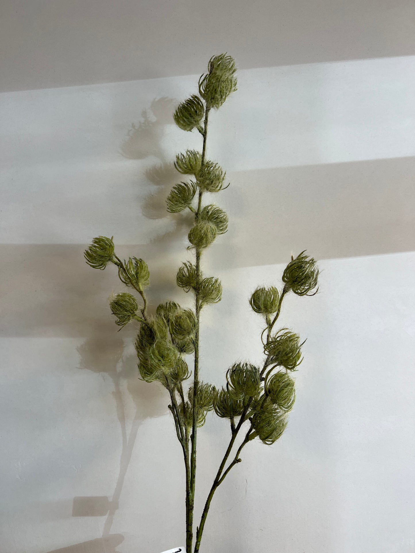 KUNST | CLEMATIS