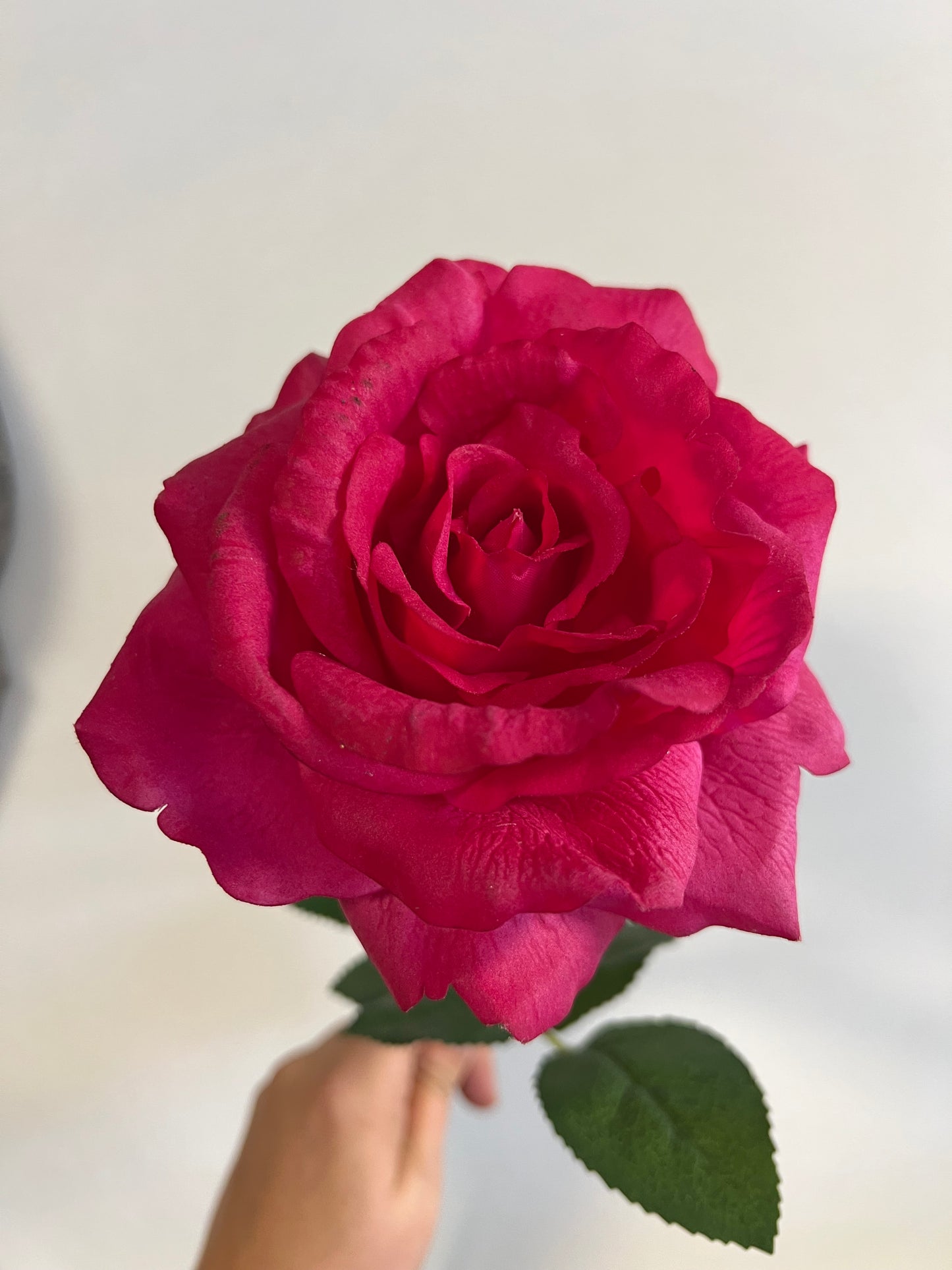 KUNST | REAL | TOUCH | ROOS |DONKER | ROZE