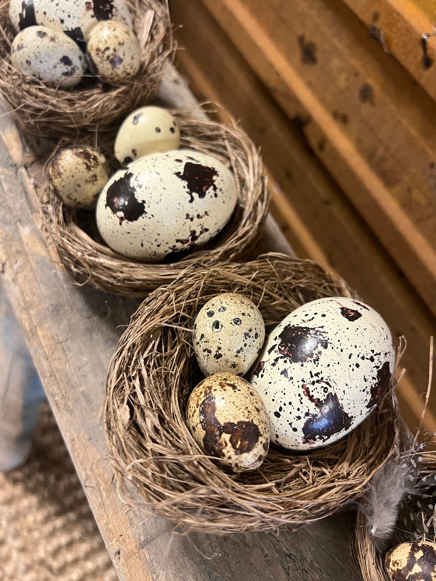 NESTJE | MET | PAASEITJES