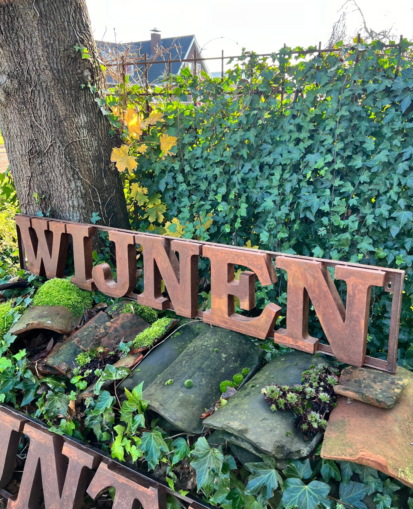 WIJNEN | ROEST | LETTERS