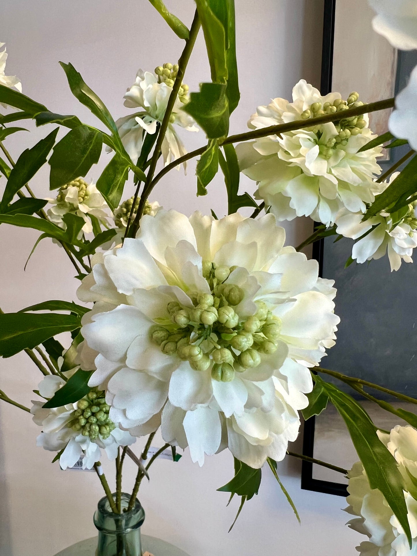 ZIJDEN | SCABIOSA | WIT