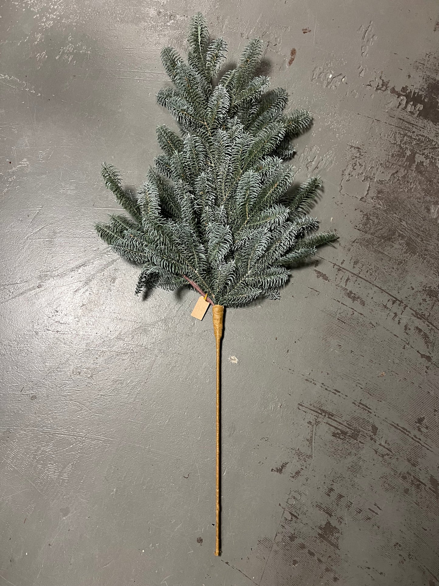 KUNST | NOBILIS | TAK