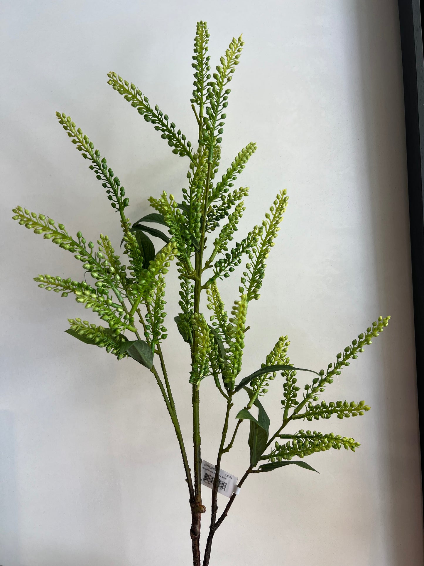 KUNST | JAPONICA | PIERIS | SPRAY | 105 CM