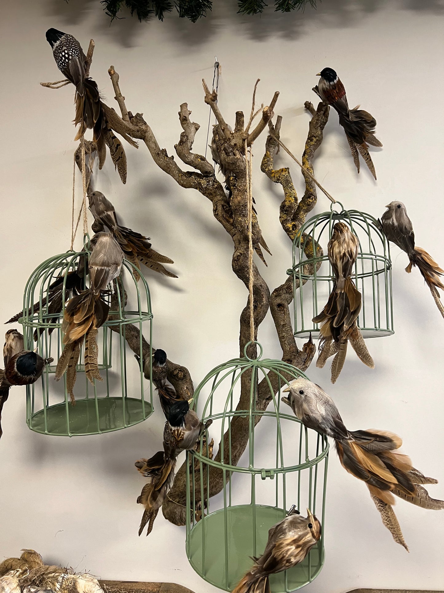 VOGELKOOI | 2 | MATEN | GROEN