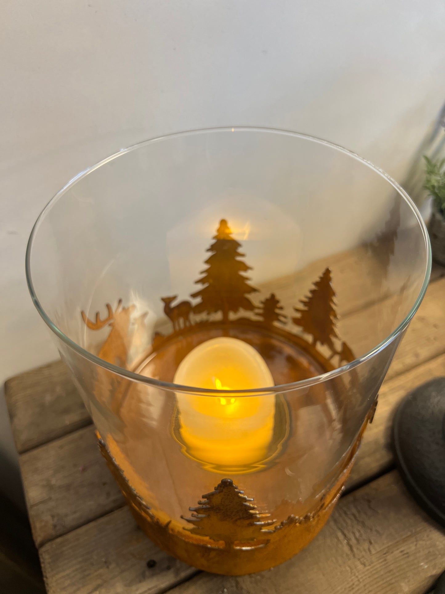 WINDLICHT | ROEST | HERT | DENNEBOOM