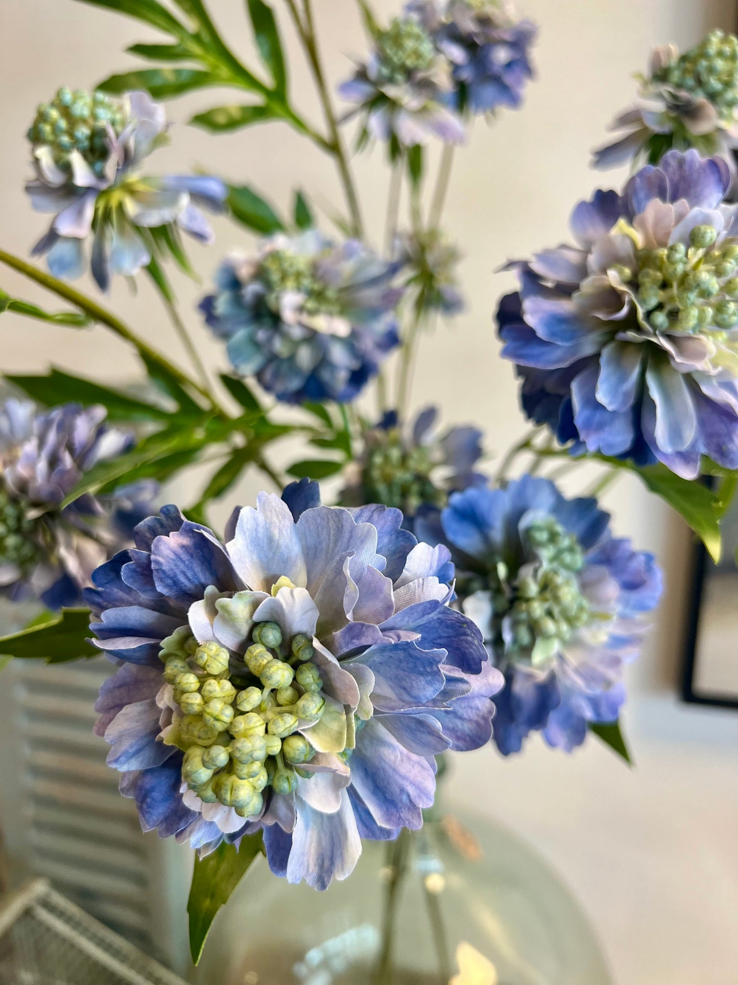 ZIJDEN | SCABIOSA | LICHT | BLAUW
