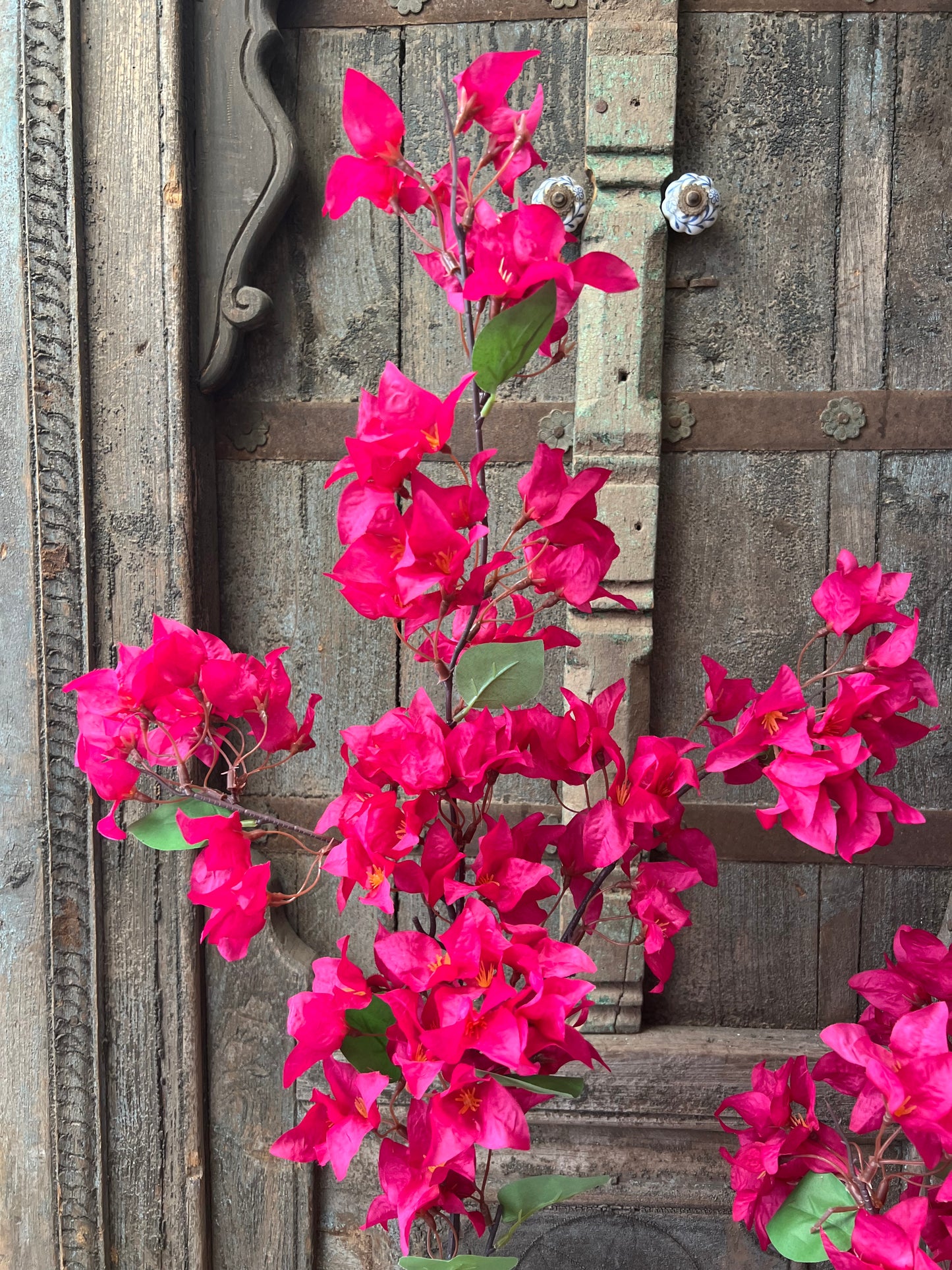 ZIJDEN | BOUGAINVILLEA | TAKKEN