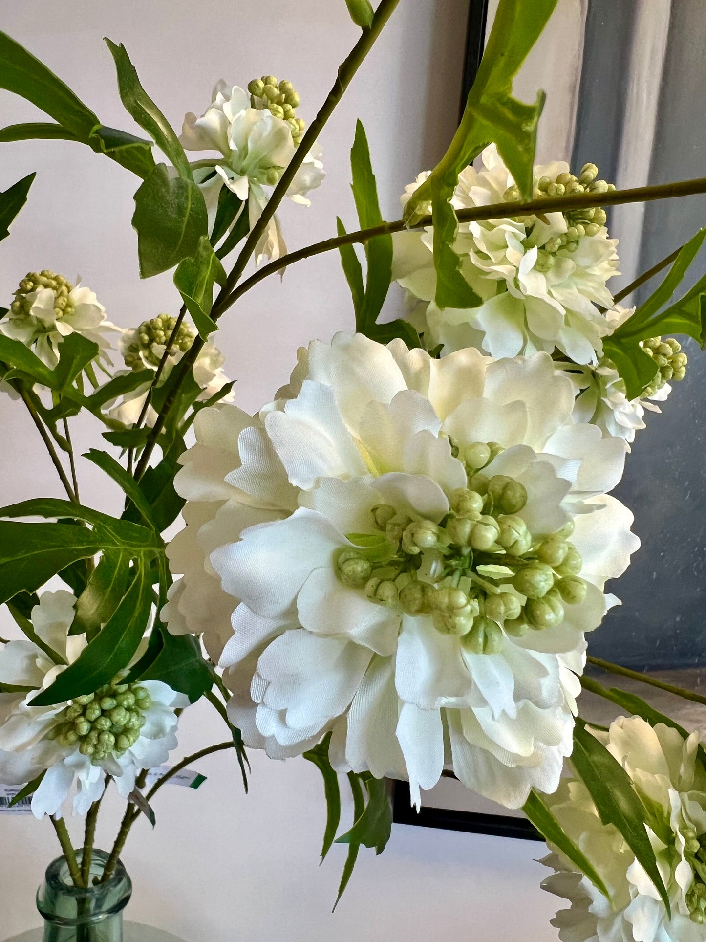 ZIJDEN | SCABIOSA | WIT