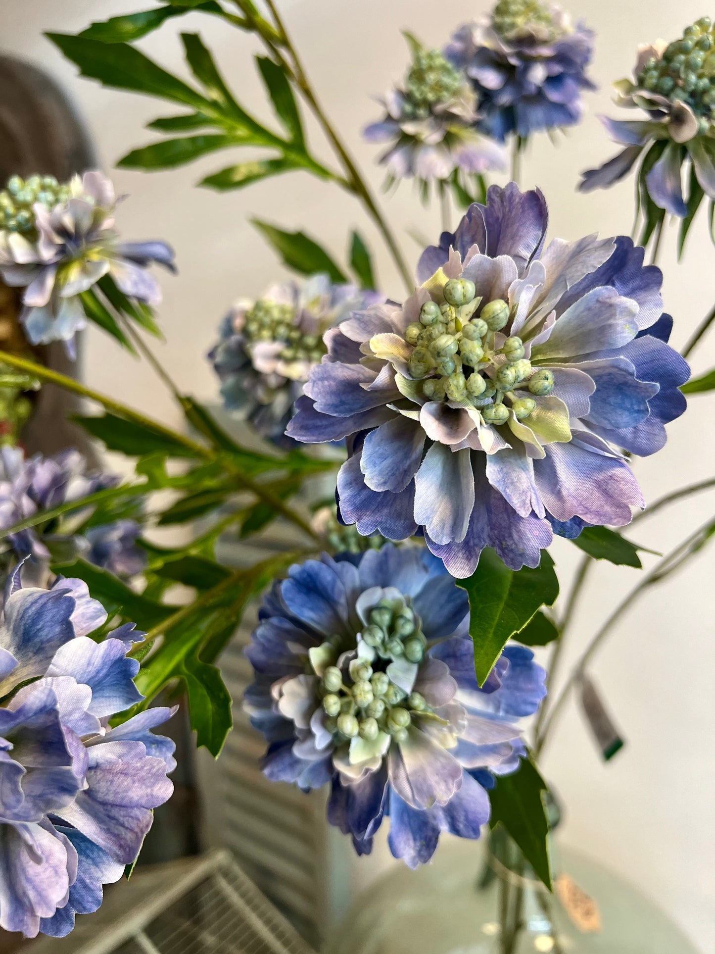 ZIJDEN | SCABIOSA | LICHT | BLAUW