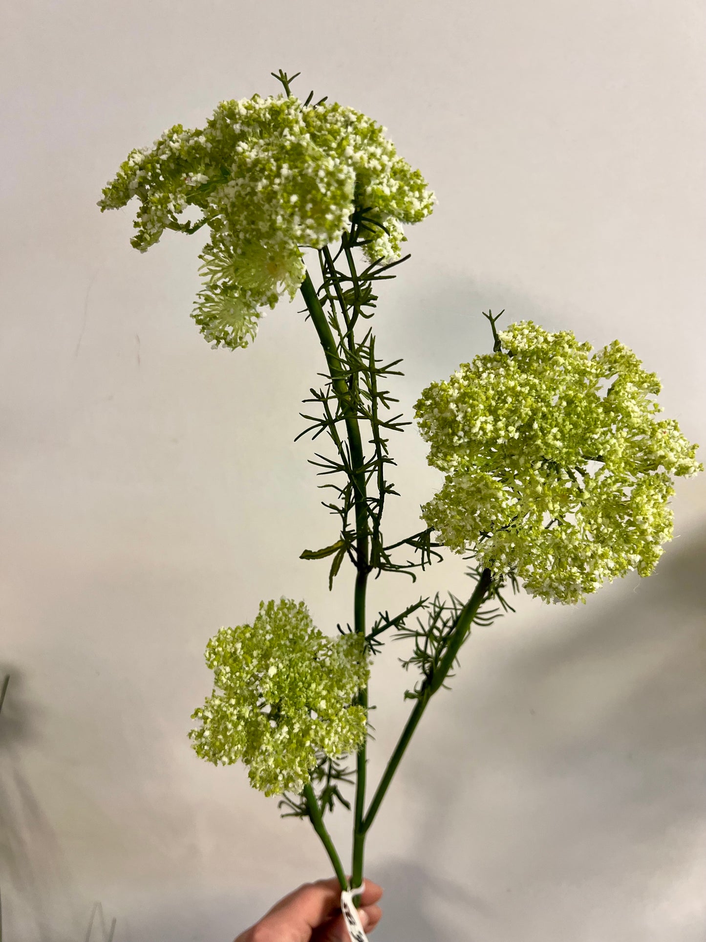 ZIJDEN | DILLE | GROEN | WIT