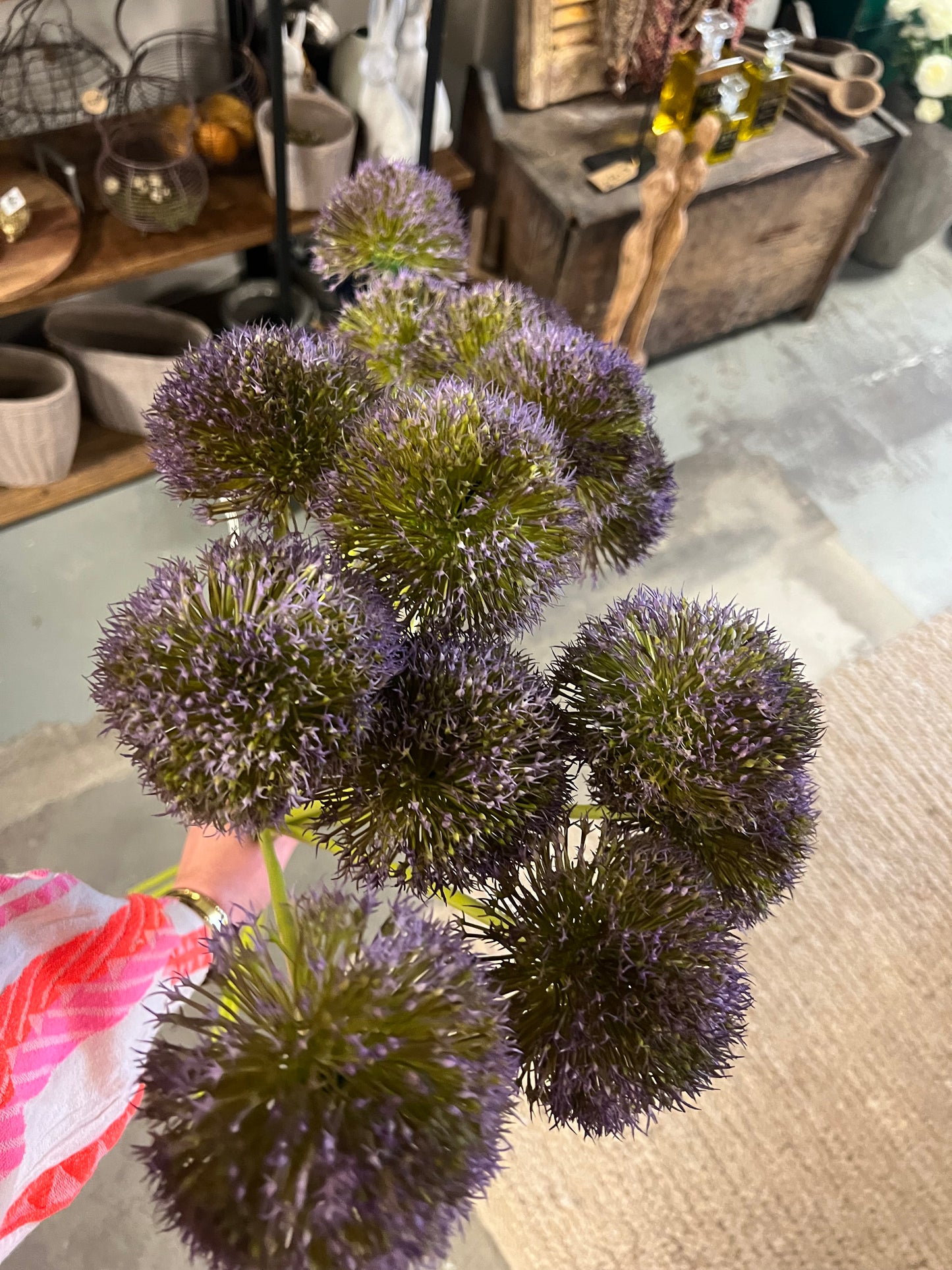 KUNST | ALLIUM | UIENBOLLEN | PAARS | 2 | MATEN