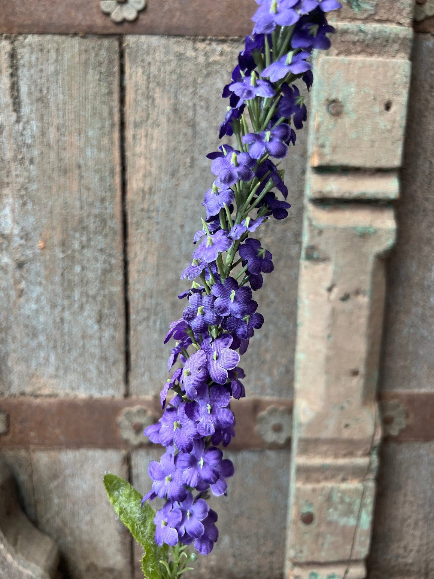 KUNST | DELPHINIUM | RIDDERSPOOR | PAARS