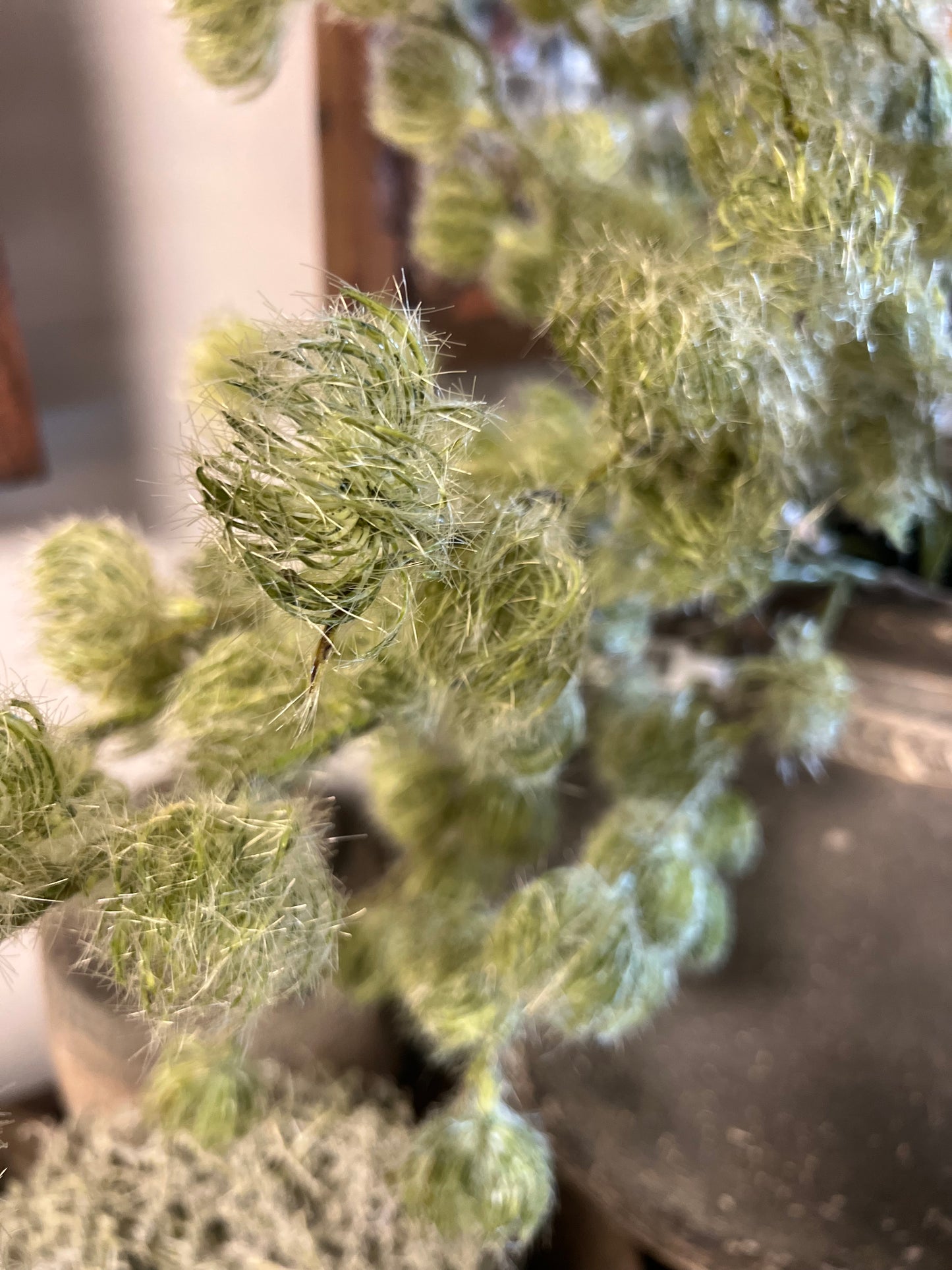KUNST | CLEMATIS