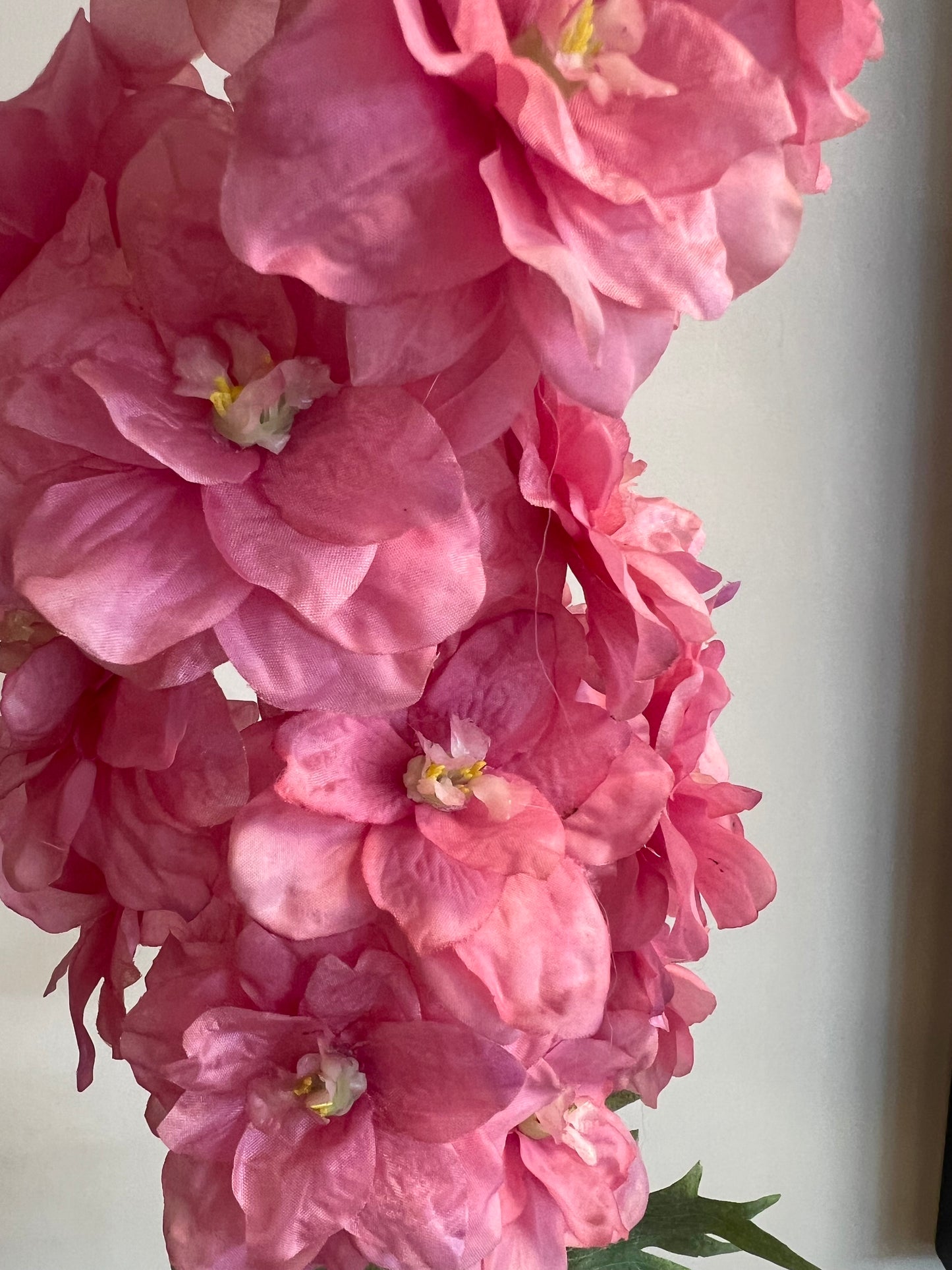 KUNST | DELPHINIUM | ROZE | RIDDERSPOOR