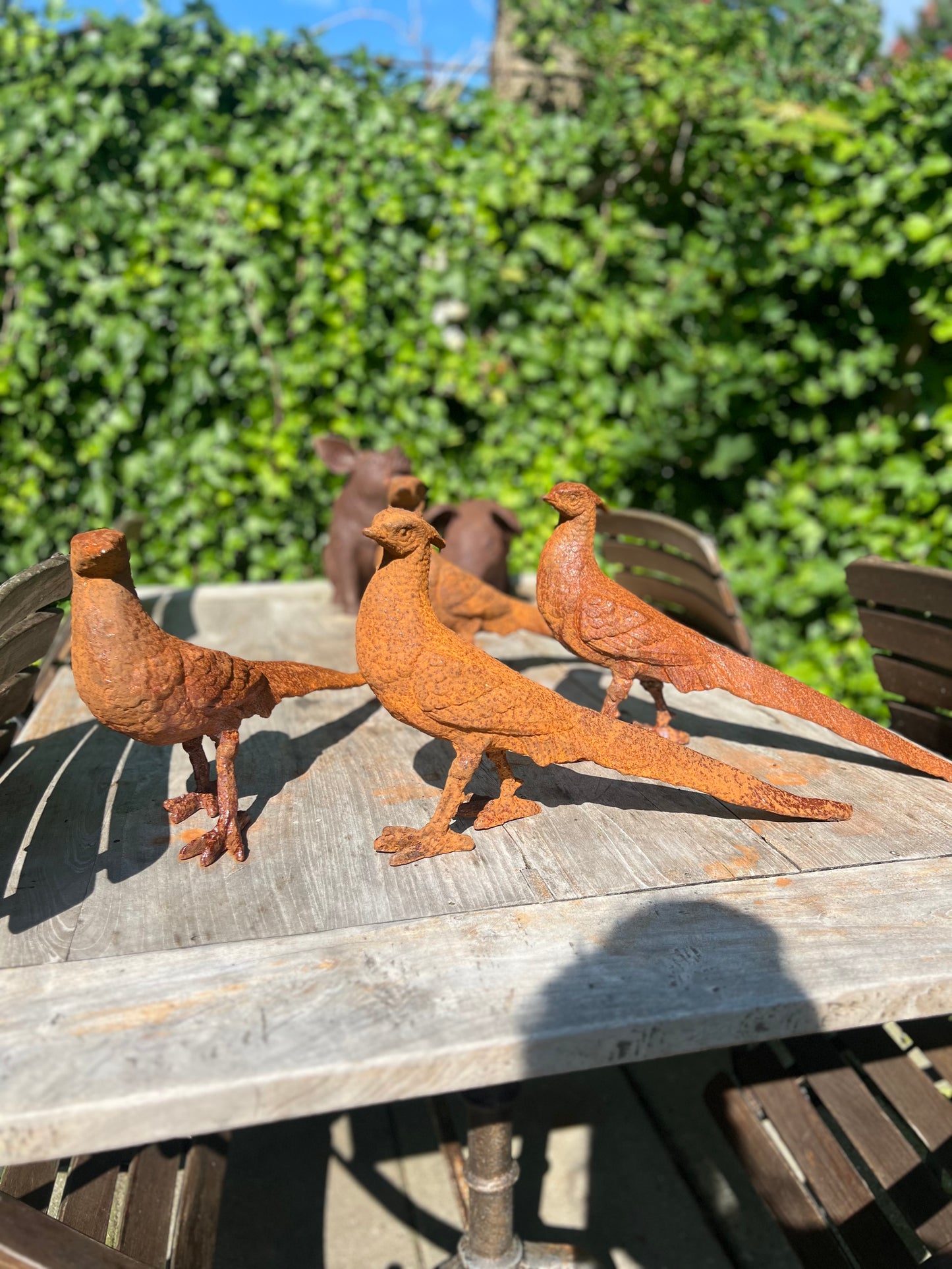 ROEST | GIETIJZER | FAZANT