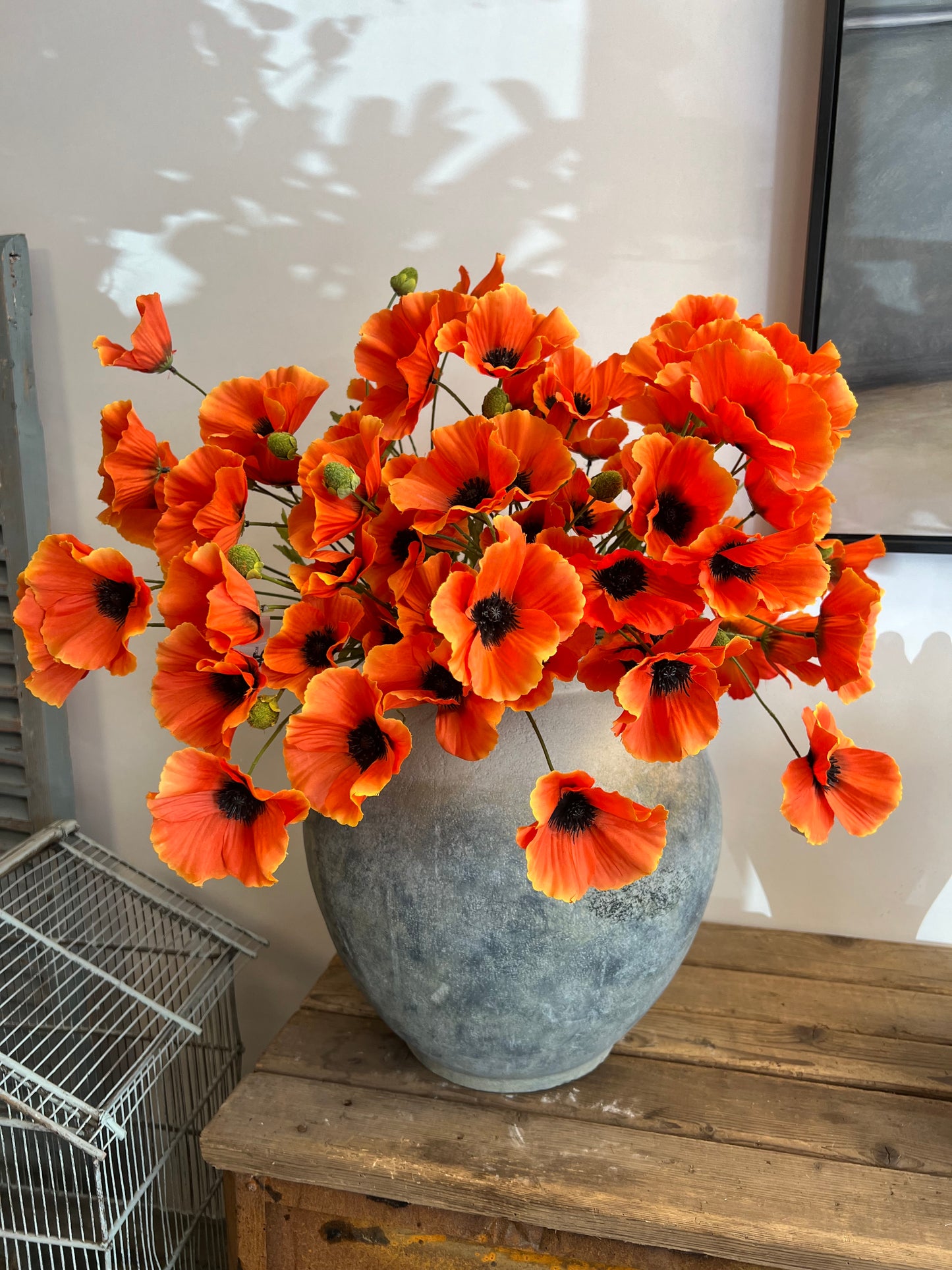KLAPROOS | 3 | KLEUREN | ORANJE| ZIJDEN