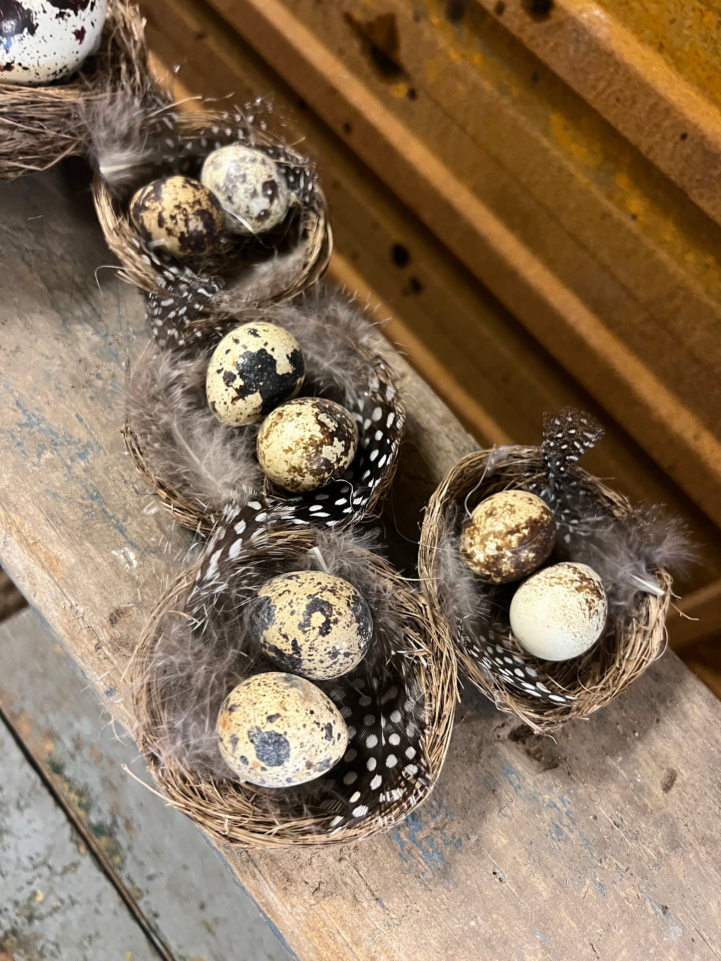 NESTJE | MET | PAASEITJES | EN | VEERTJES