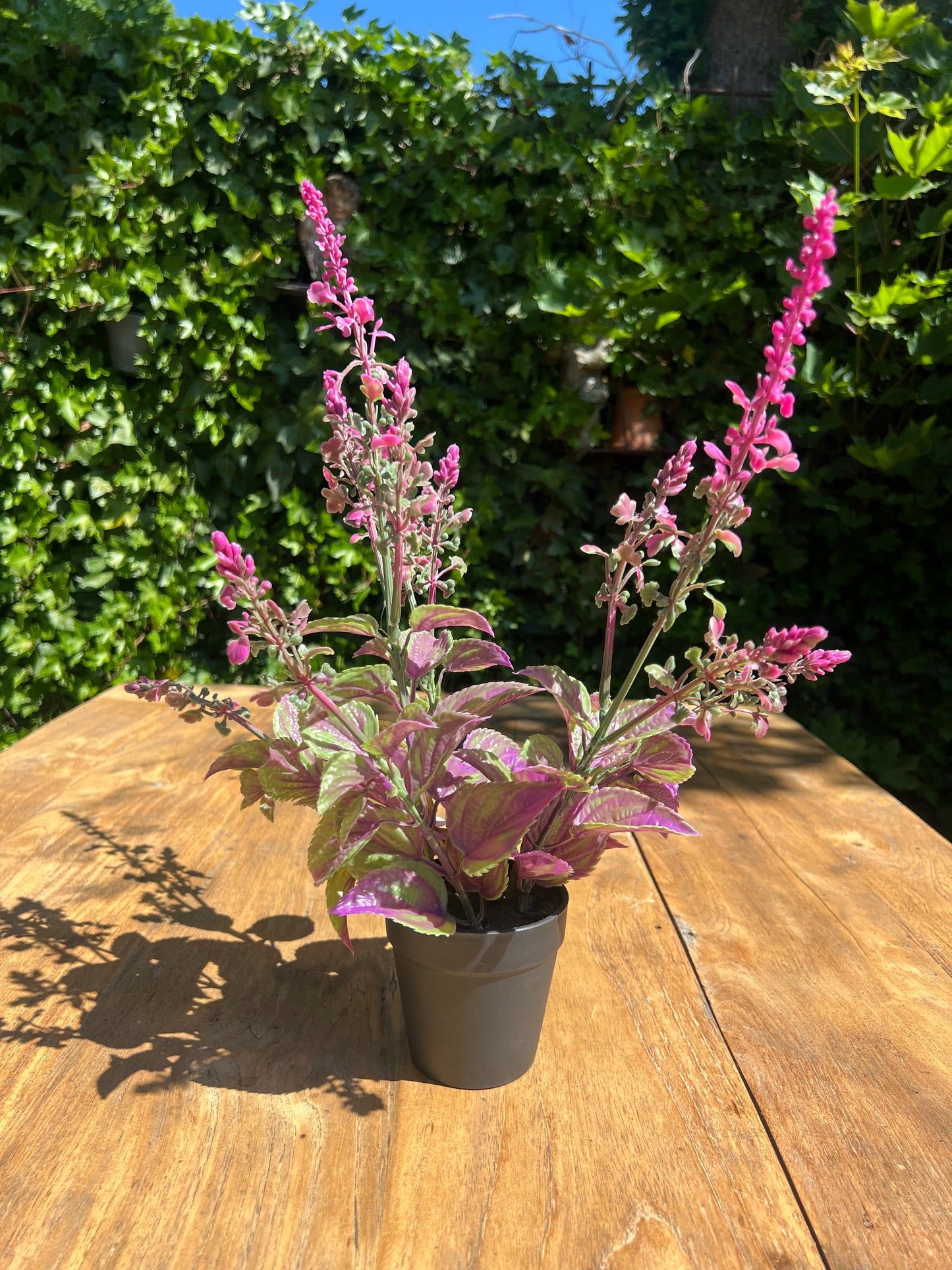 KUNST | LAVENDEL | MAGENTA