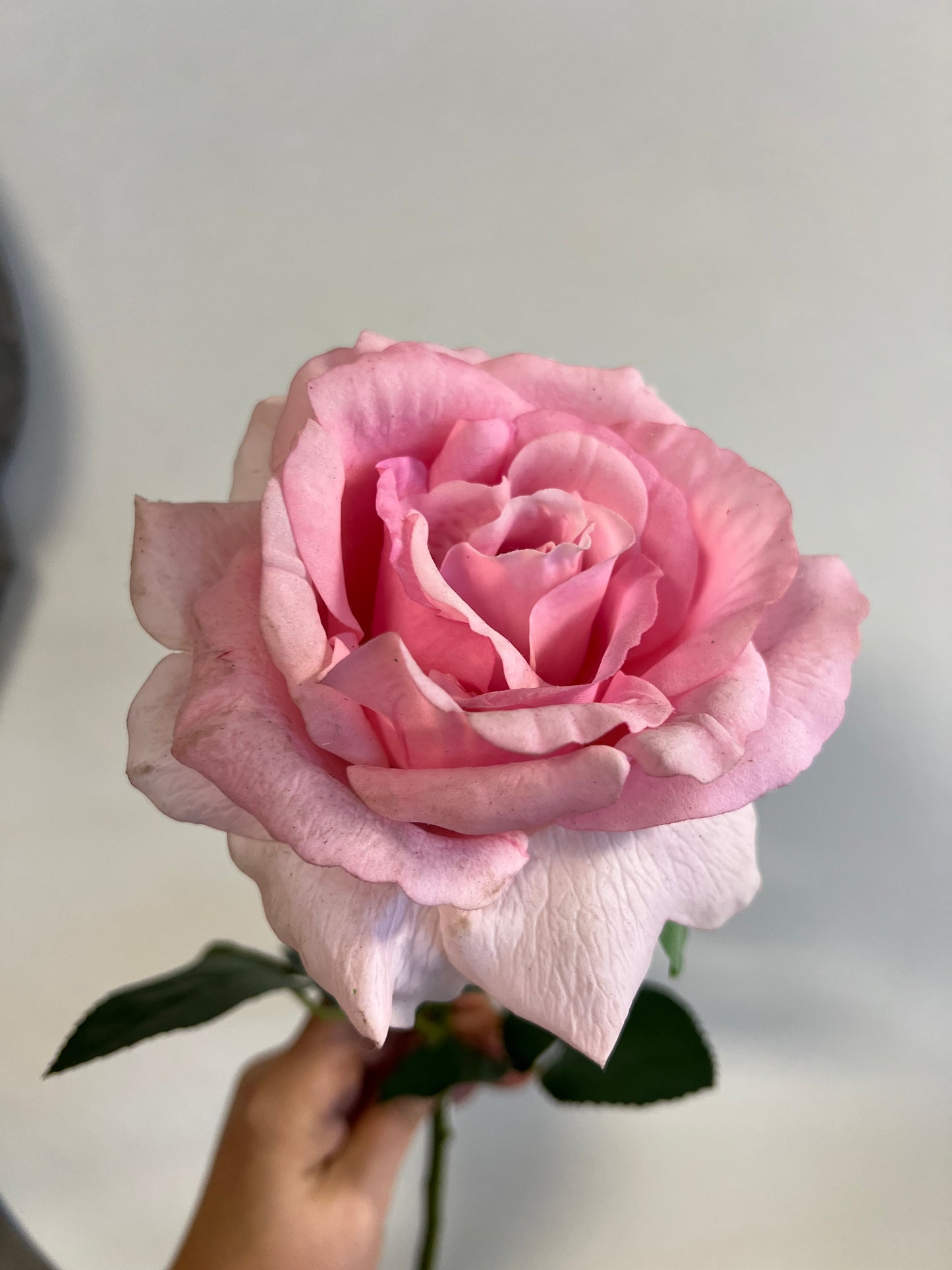 KUNST | REAL | TOUCH | ROOS | ROZE