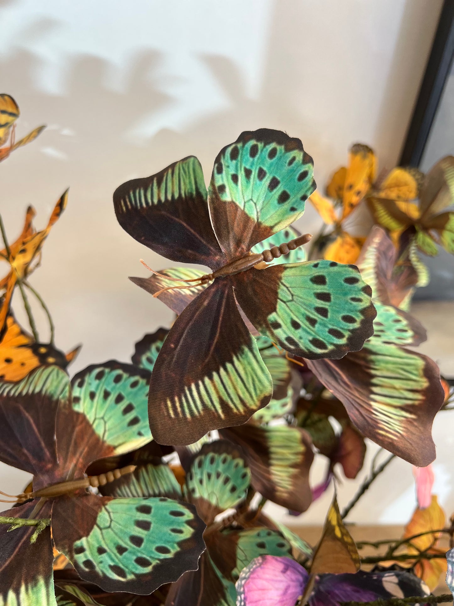 VLINDERTAK | 3 | KLEUREN
