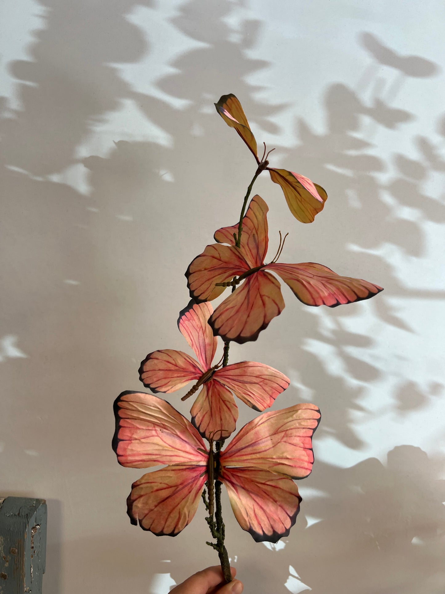 VLINDERTAK | 3 | KLEUREN