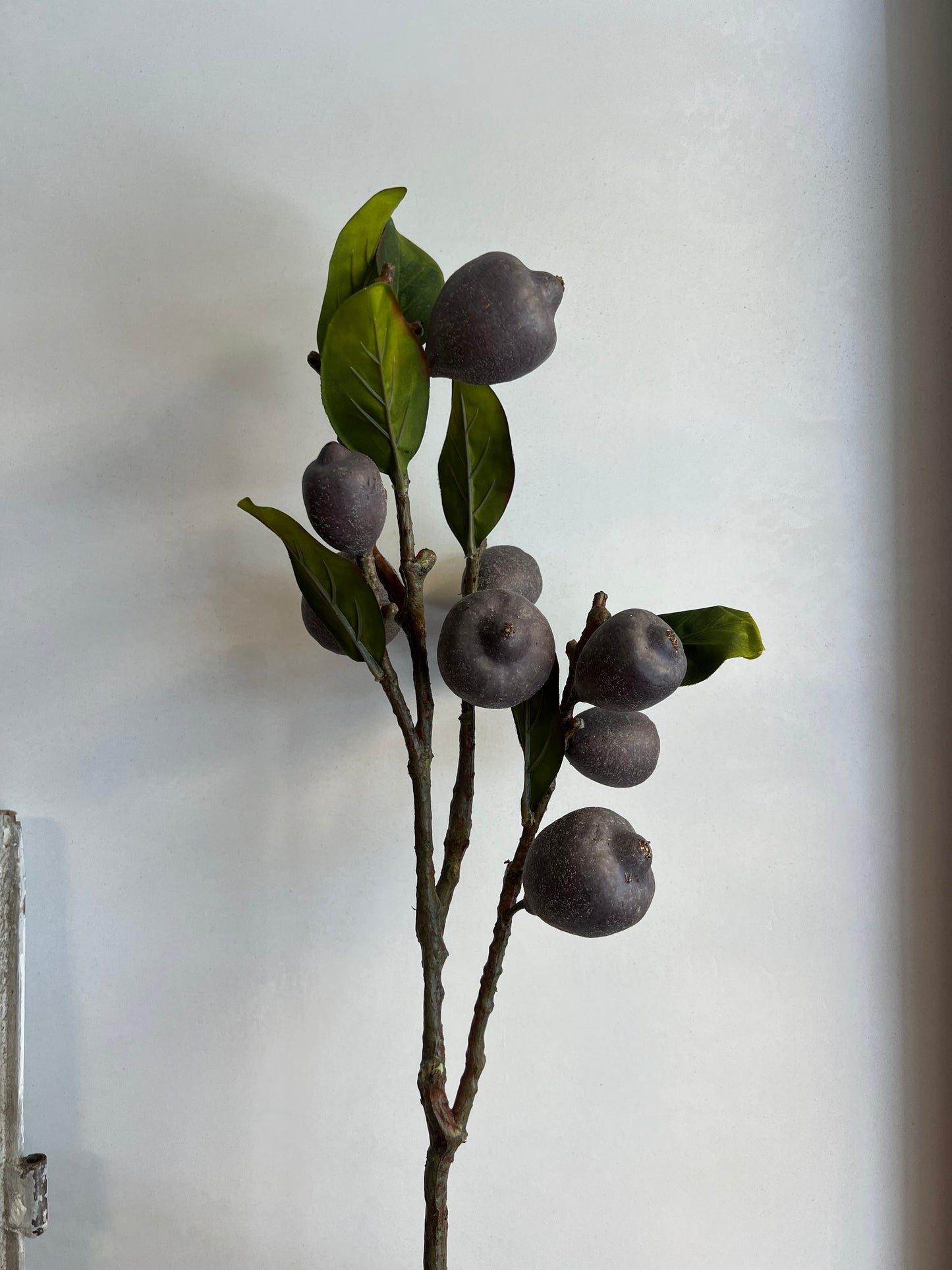 KUNST | FRUITTAK | 82 CM