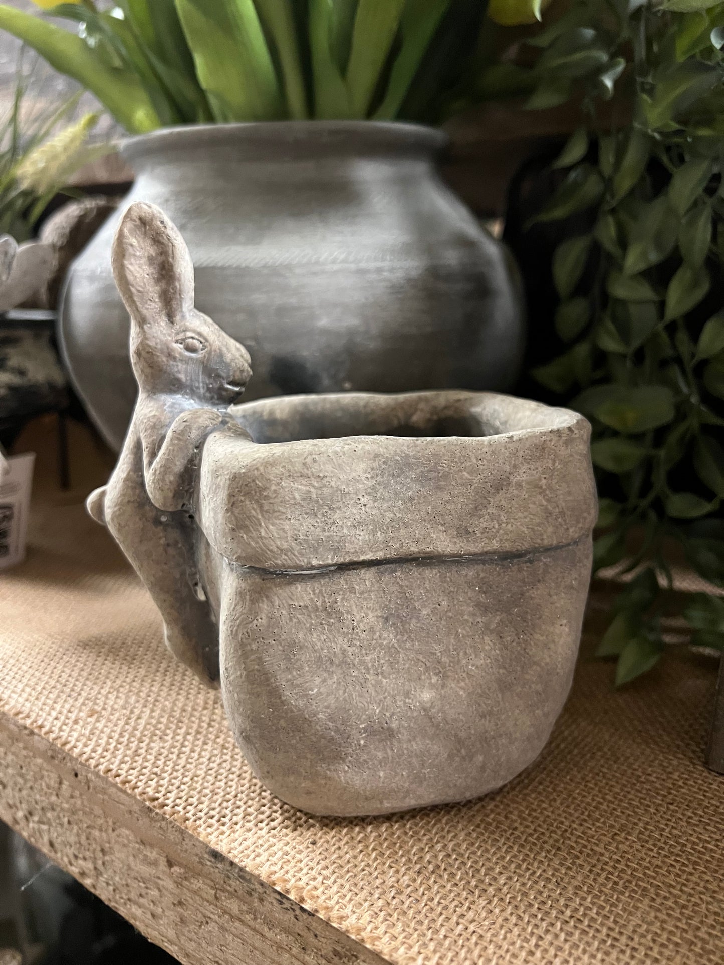 PLANTENPOT | HAAS | STEEN