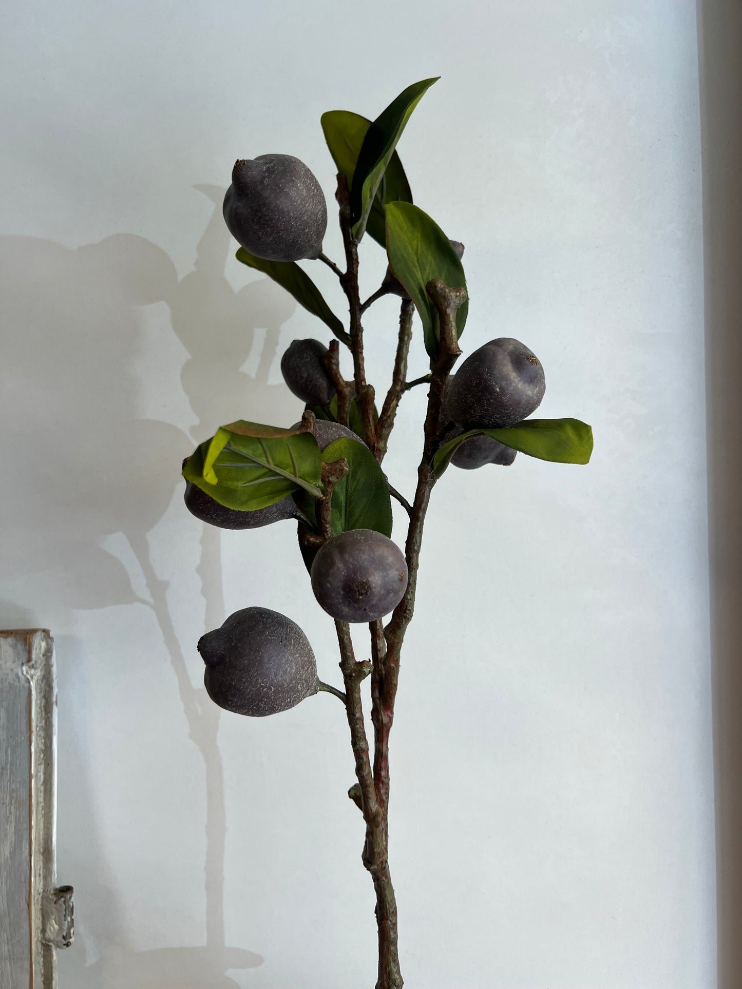 KUNST | FRUITTAK | 82 CM