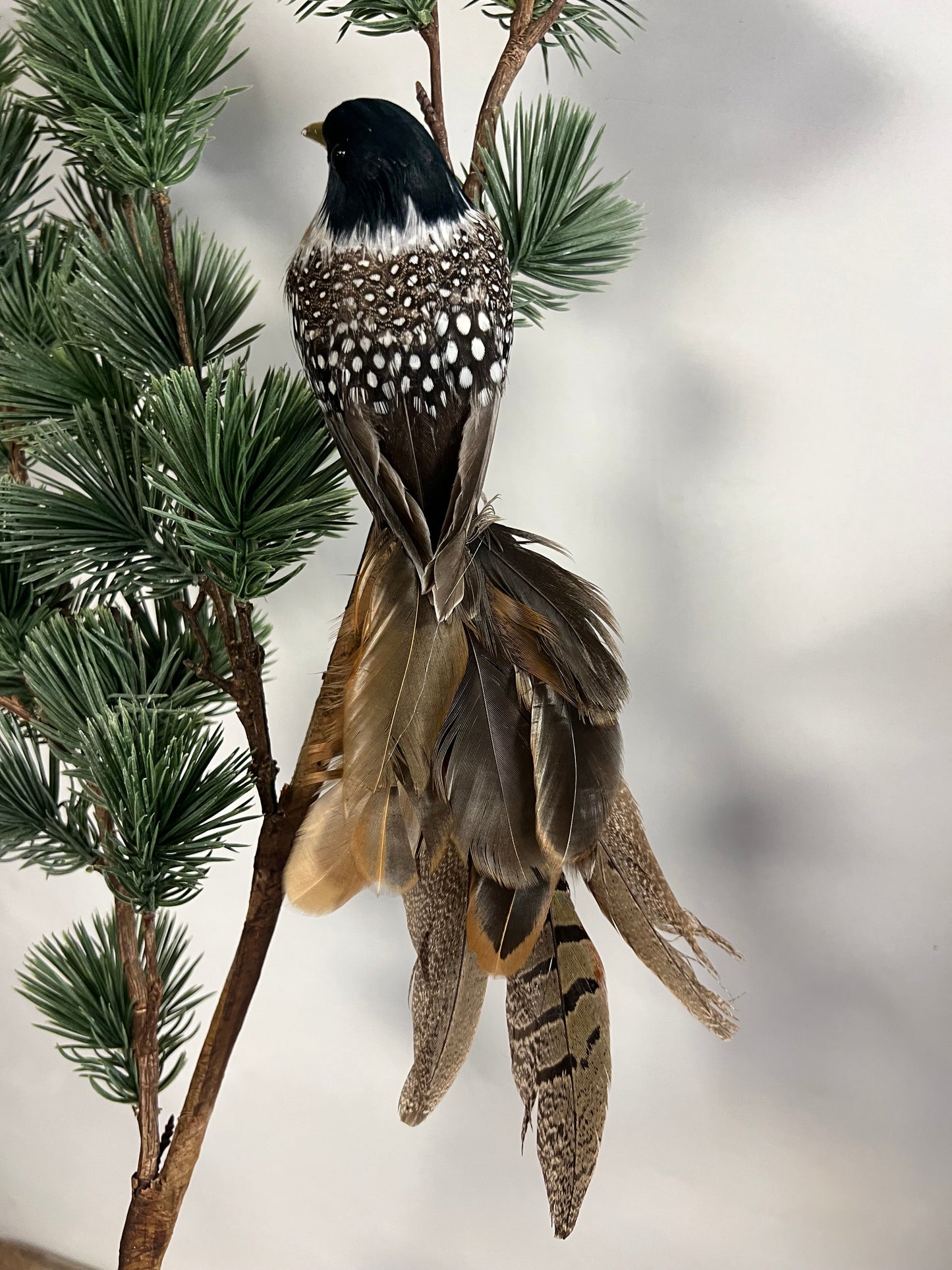 KUNST | VOGEL | MET | ECHTE | VEREN