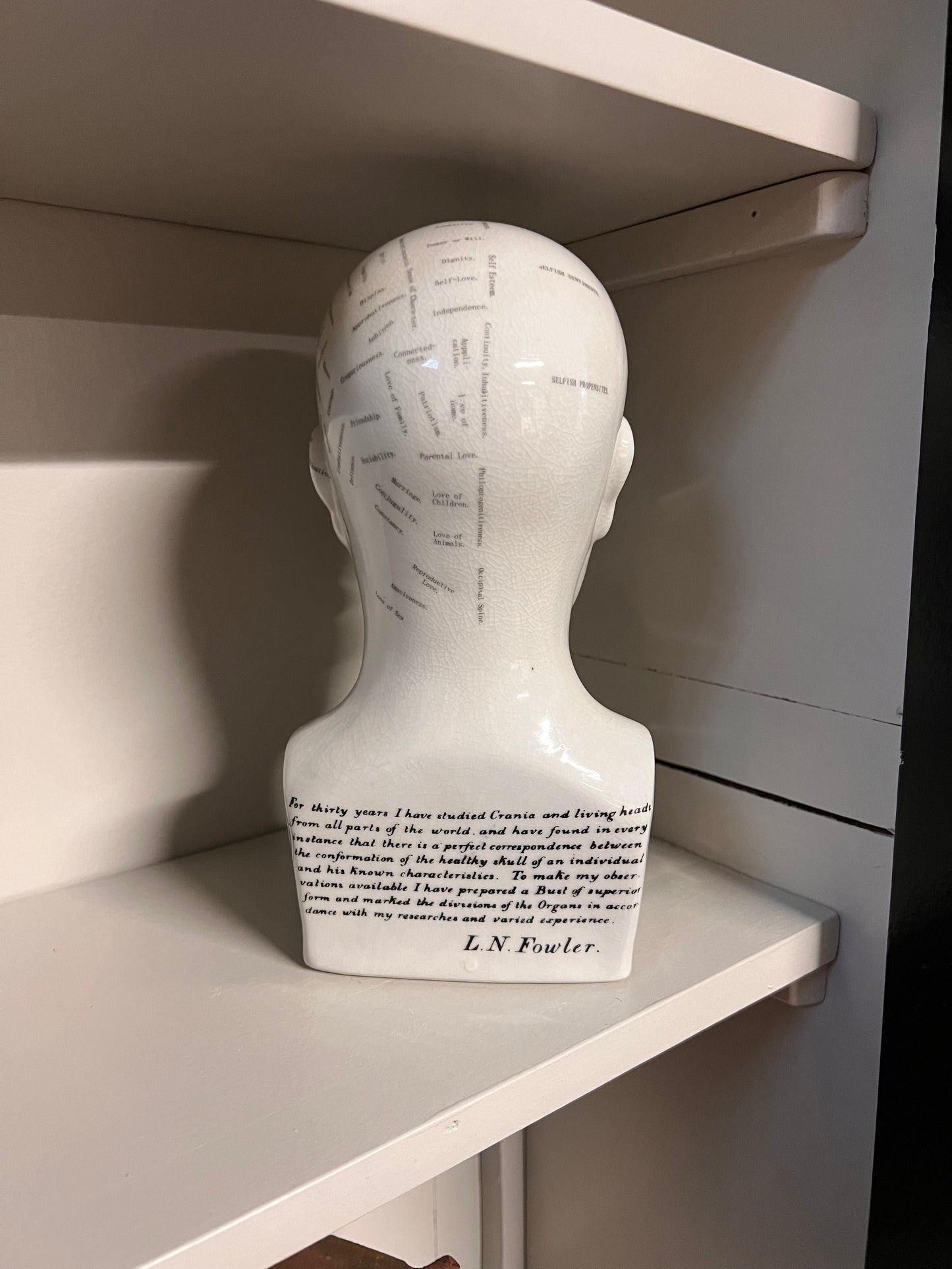 HOOFD | ANATOMIE