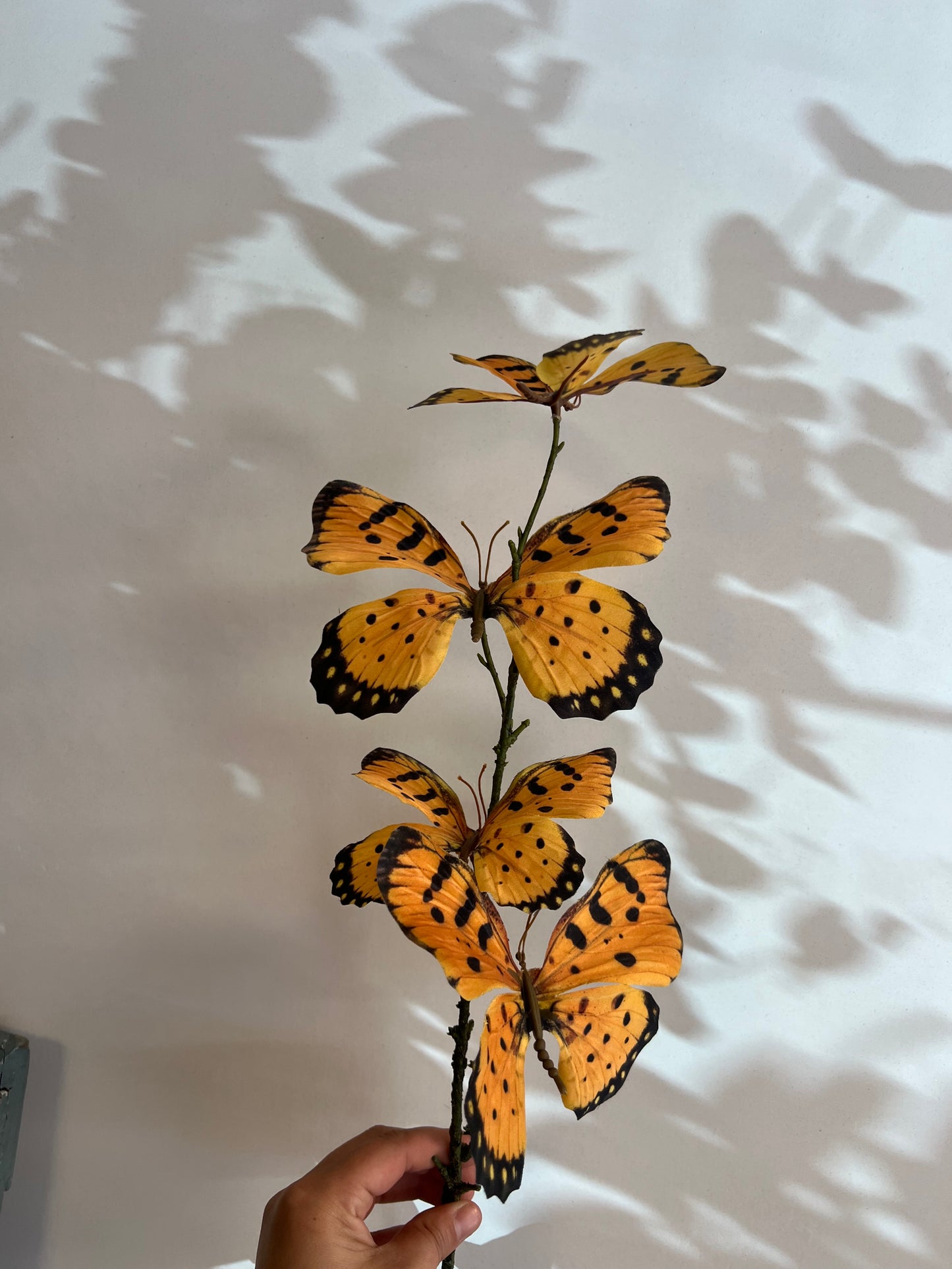 VLINDERTAK | 3 | KLEUREN