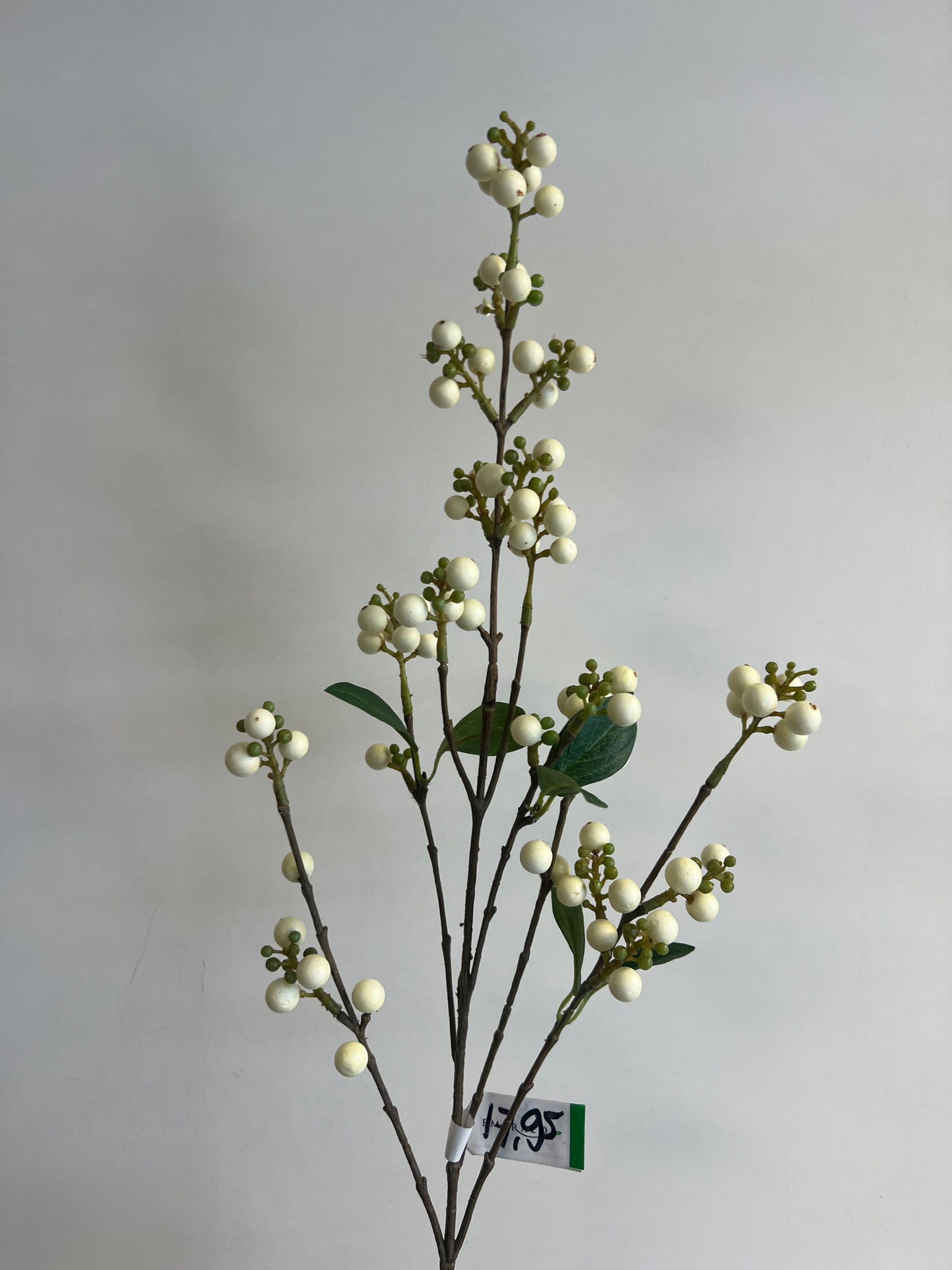 KUNST | WITTE | BESSEN | TAK
