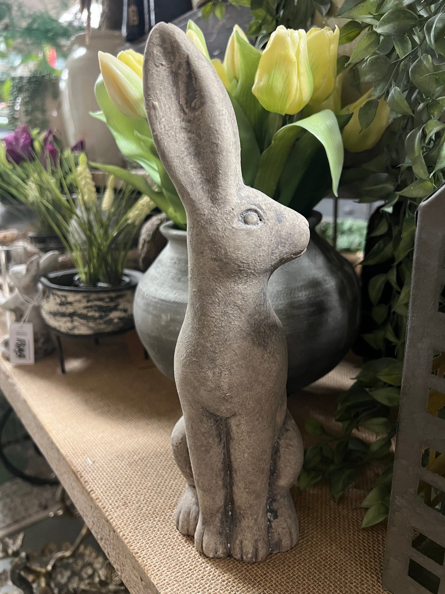 HAAS | STEEN | 2 | SOORTEN | MIDDEL