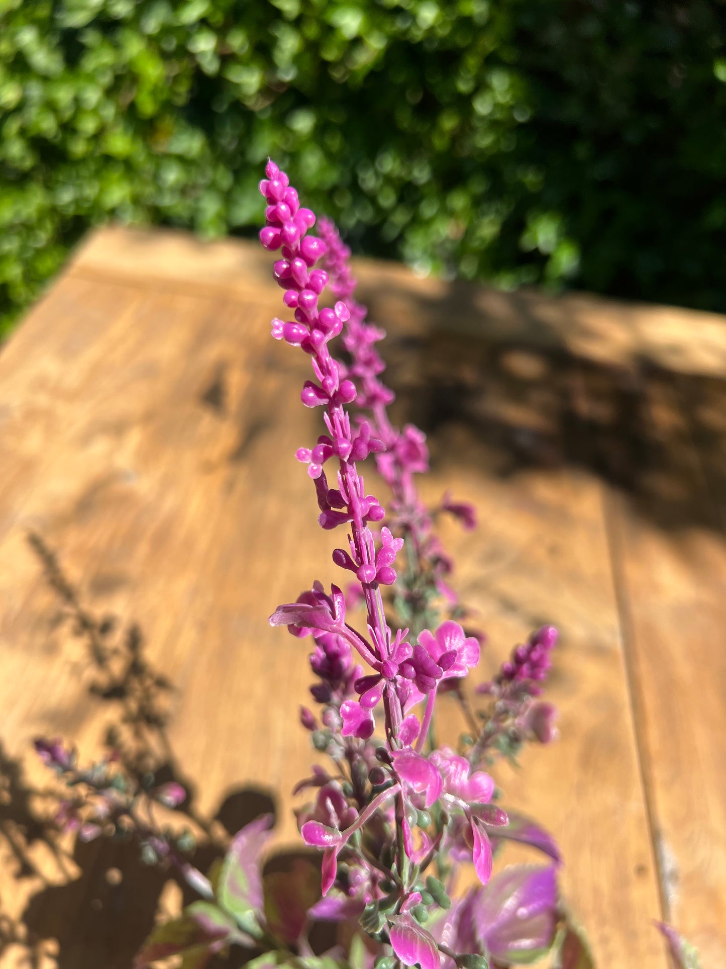 KUNST | LAVENDEL | MAGENTA