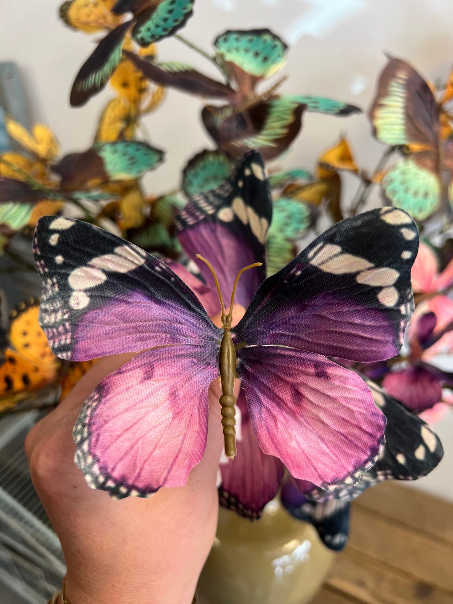 VLINDERTAK | 3 | KLEUREN