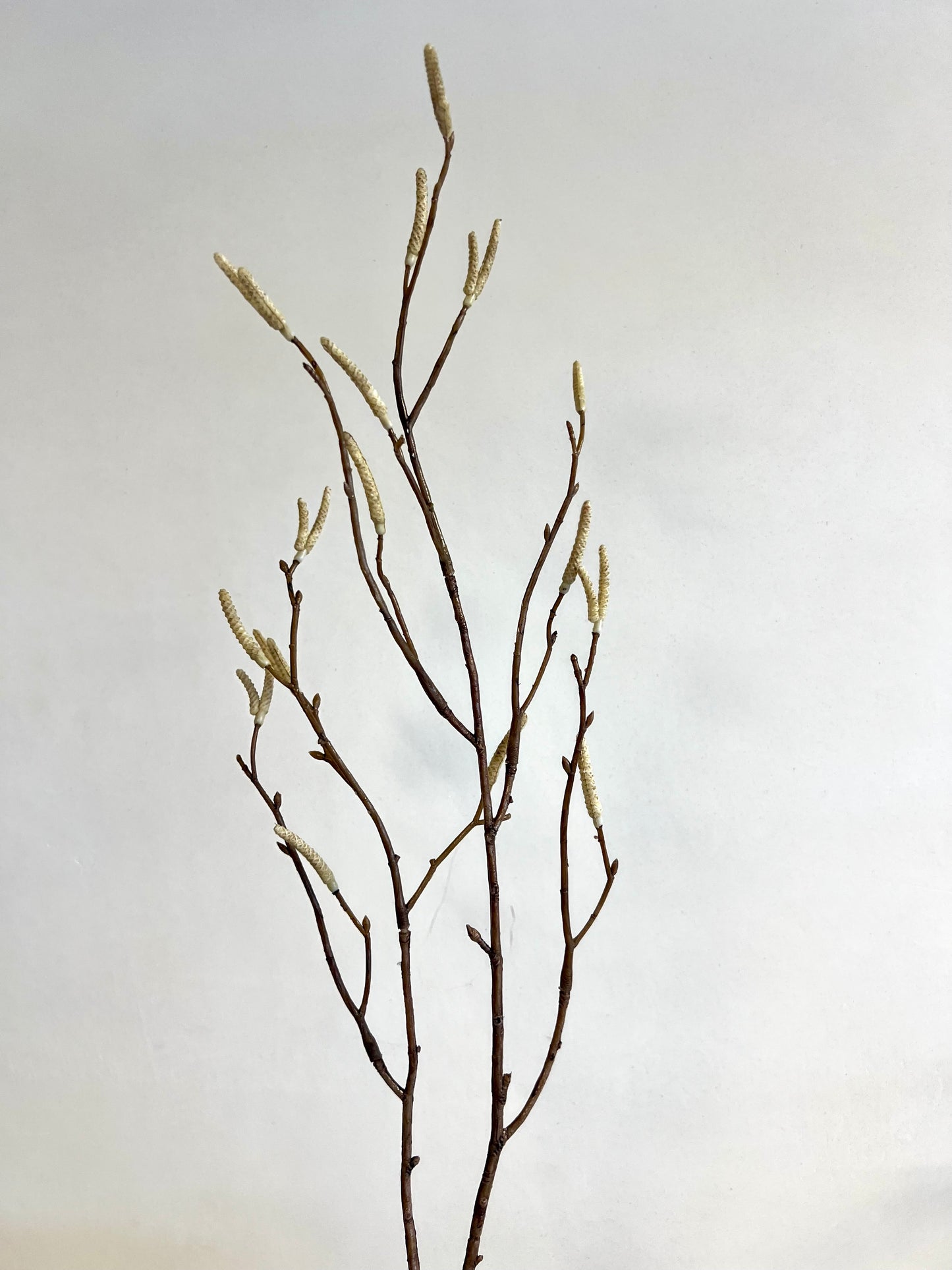 KUNST | TAK | KATJES