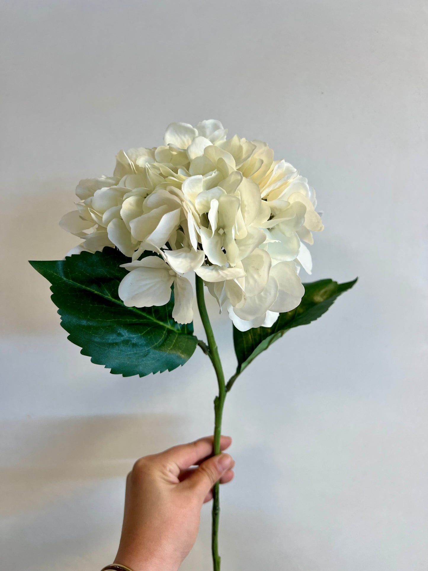 ZIJDEN | HORTENSIA’S | WIT
