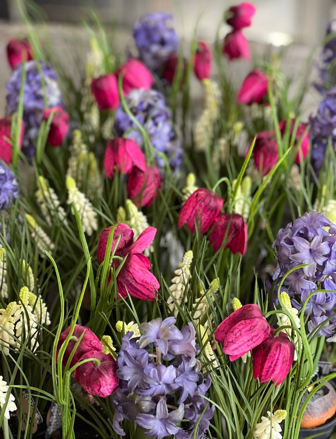 POTJE | WITTE | DRUIFJES
