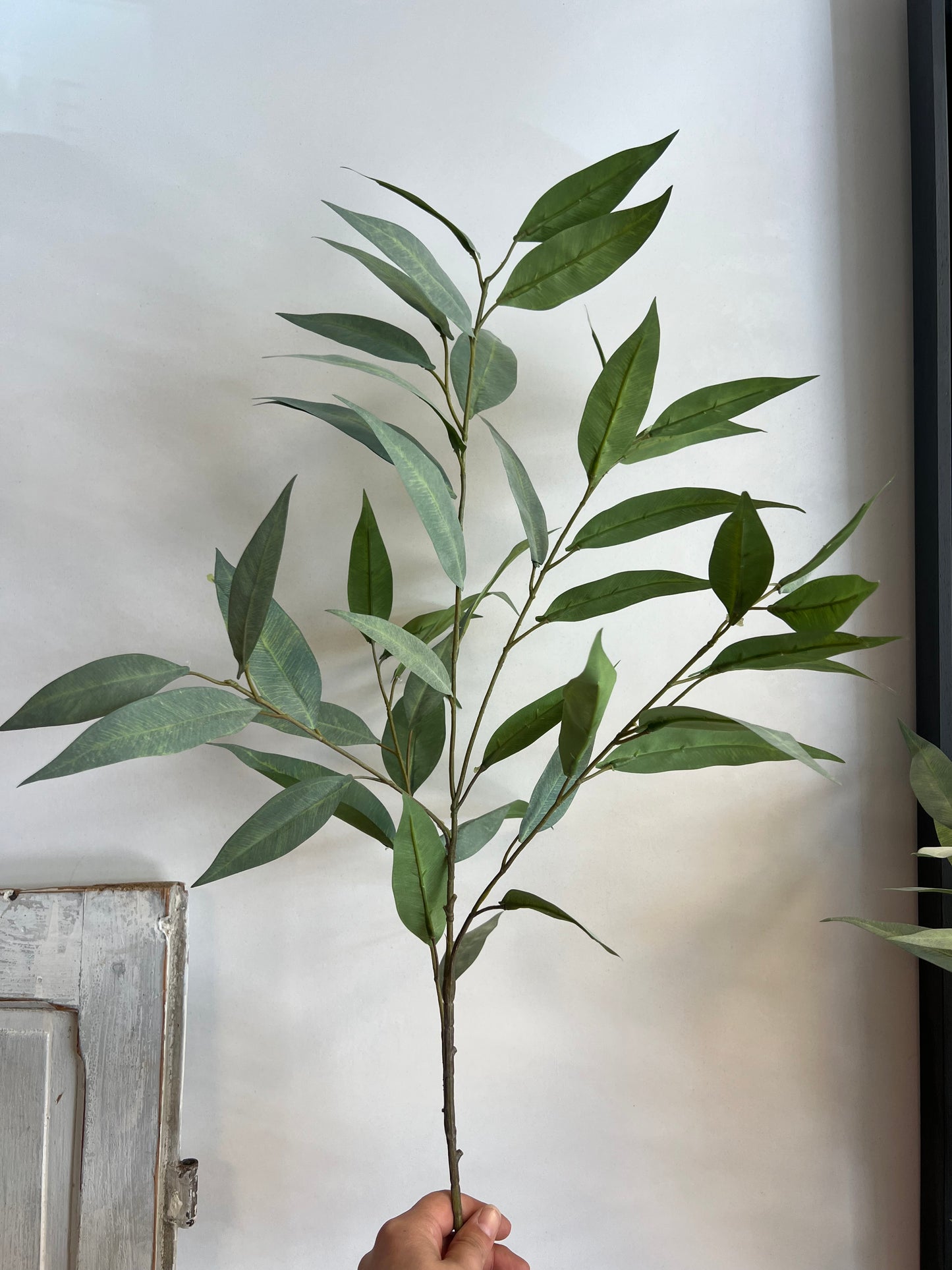 KUNST | EUCALYPTUS | 93 CM