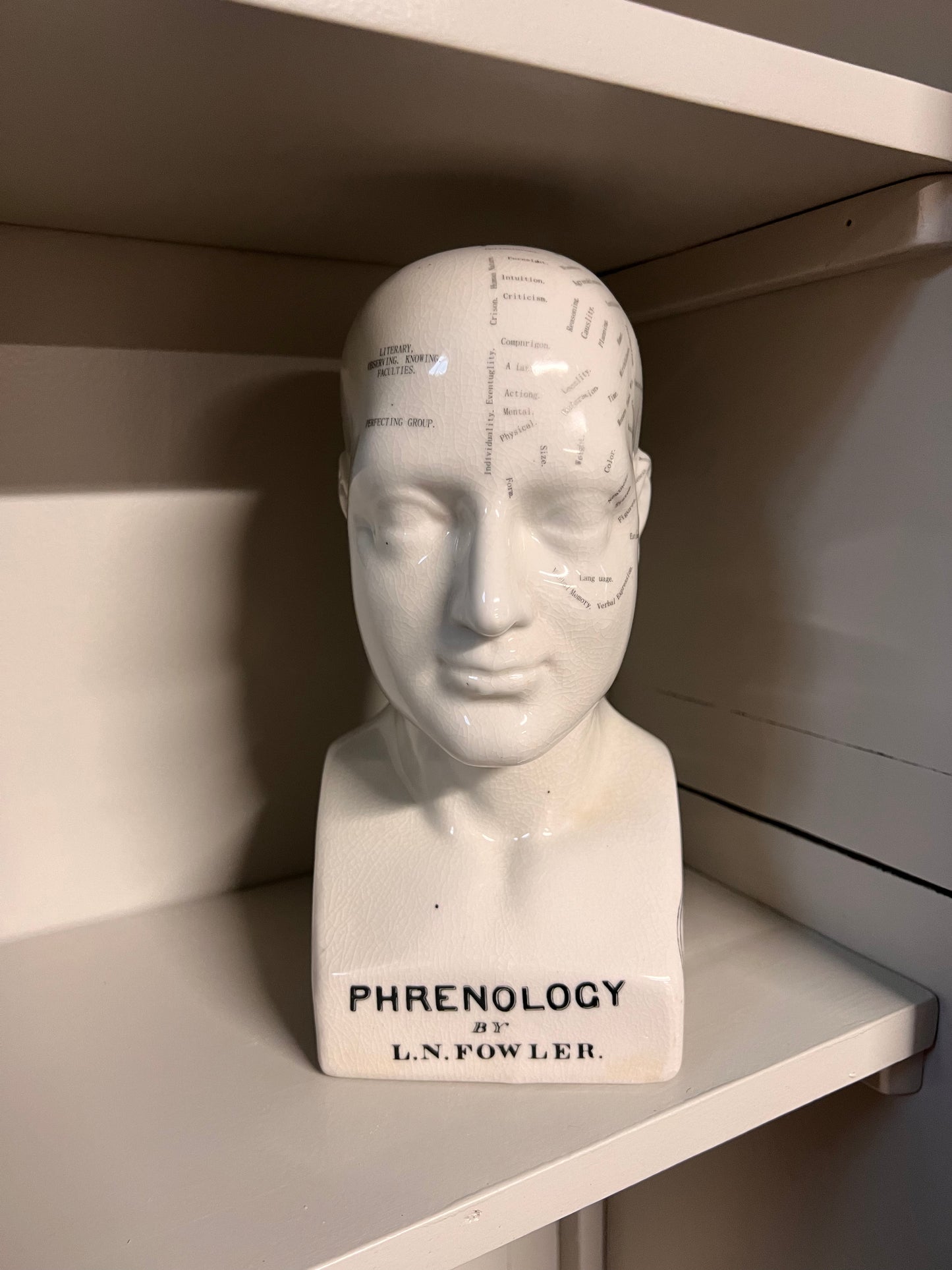 HOOFD | ANATOMIE