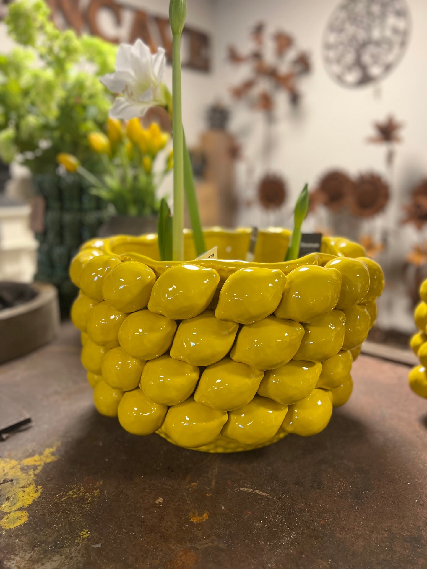 CITROEN | POT | HANDGEMAAKT
