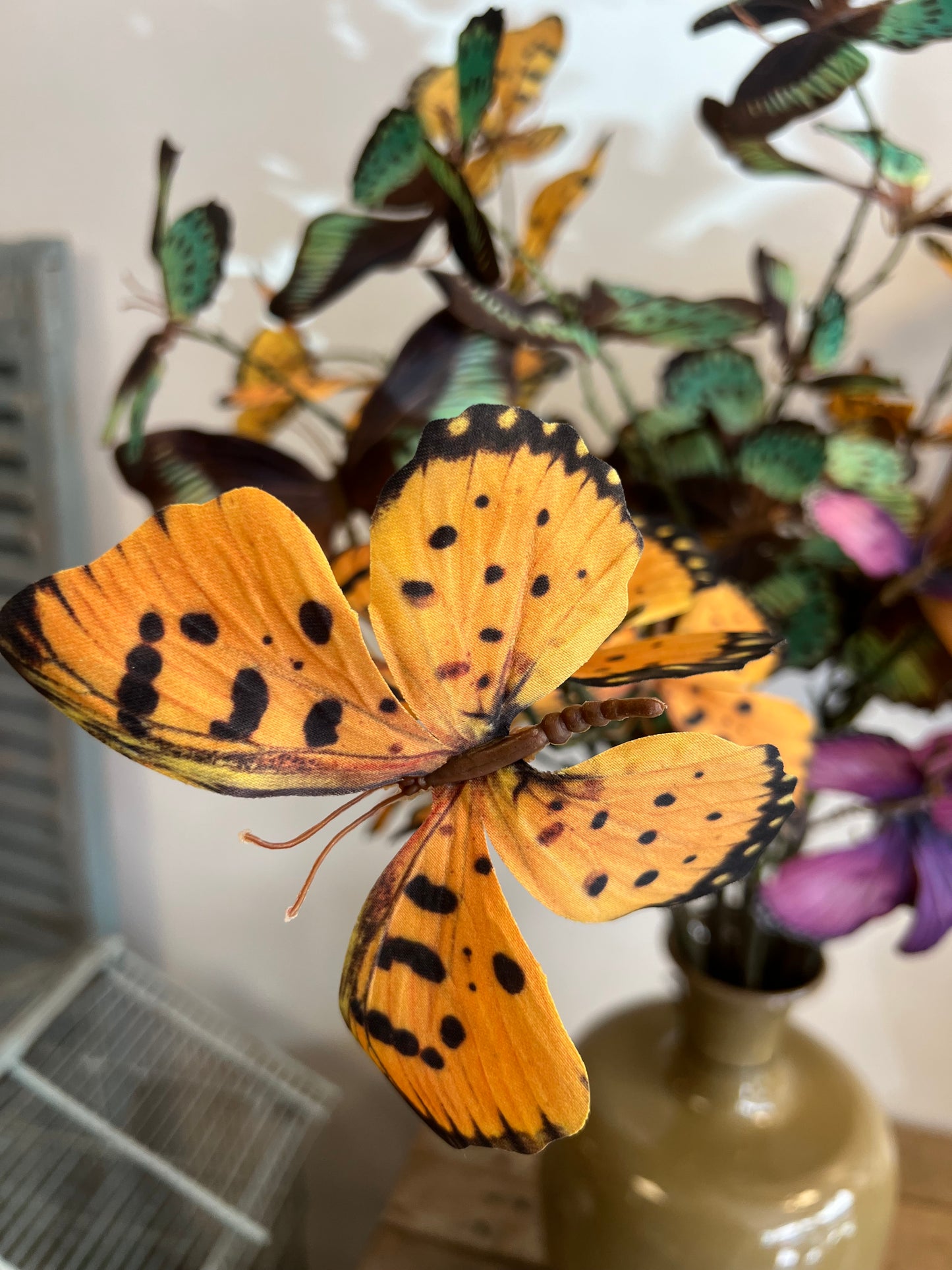 VLINDERTAK | 3 | KLEUREN
