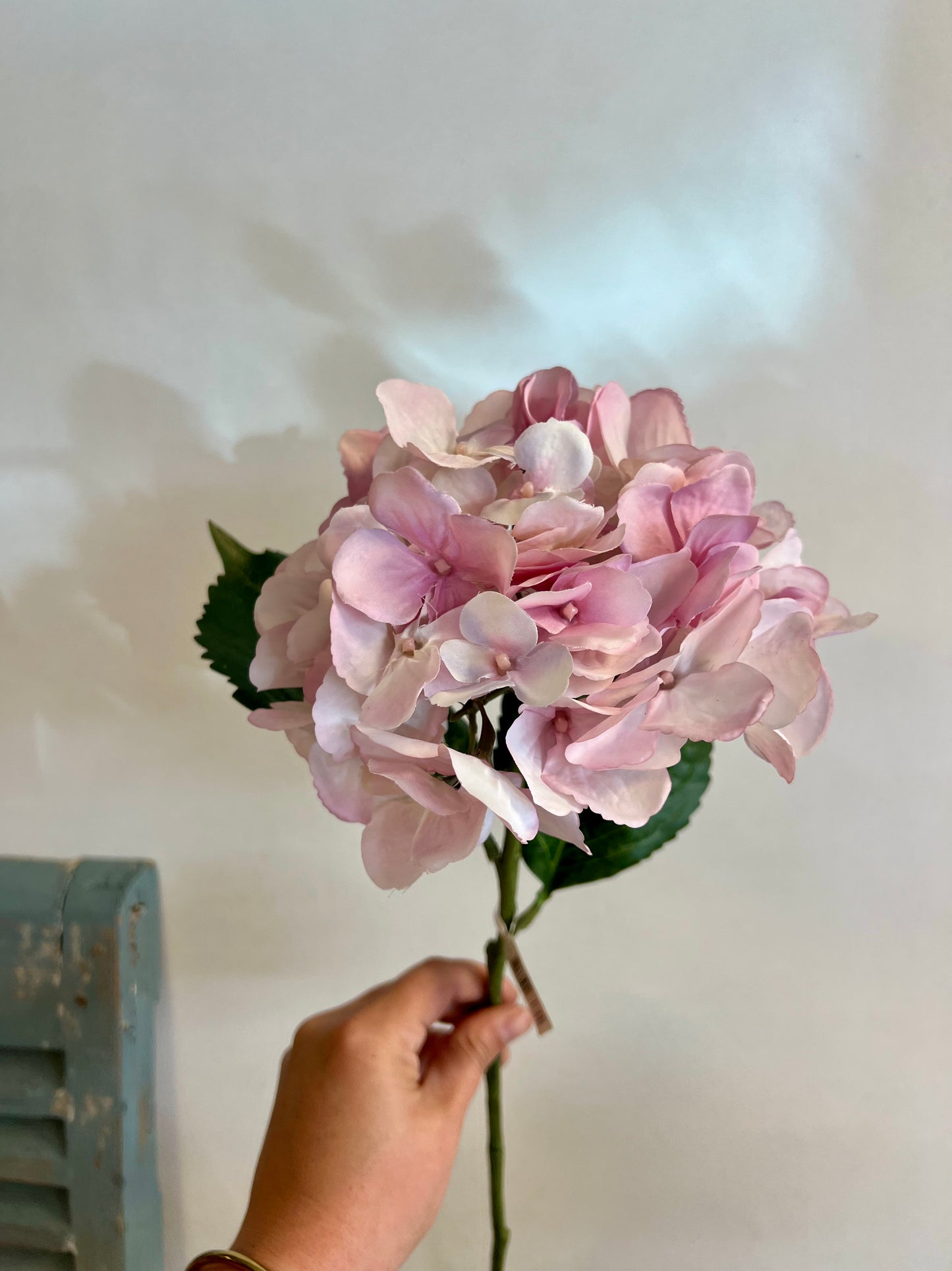 ZIJDEN | HORTENSIA’S | ROZE