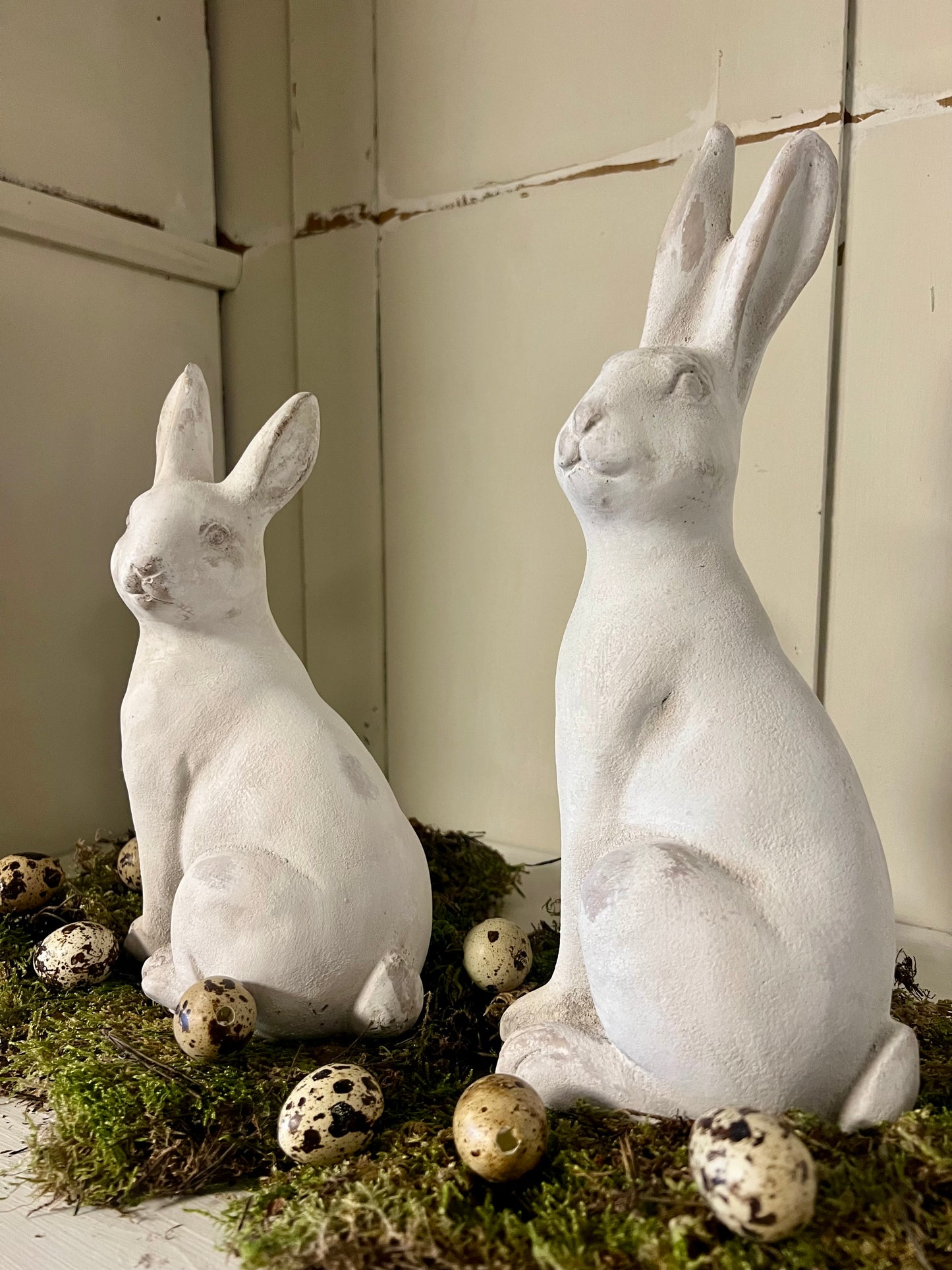 HAAS | CRÈME | CEMENT | GROOT