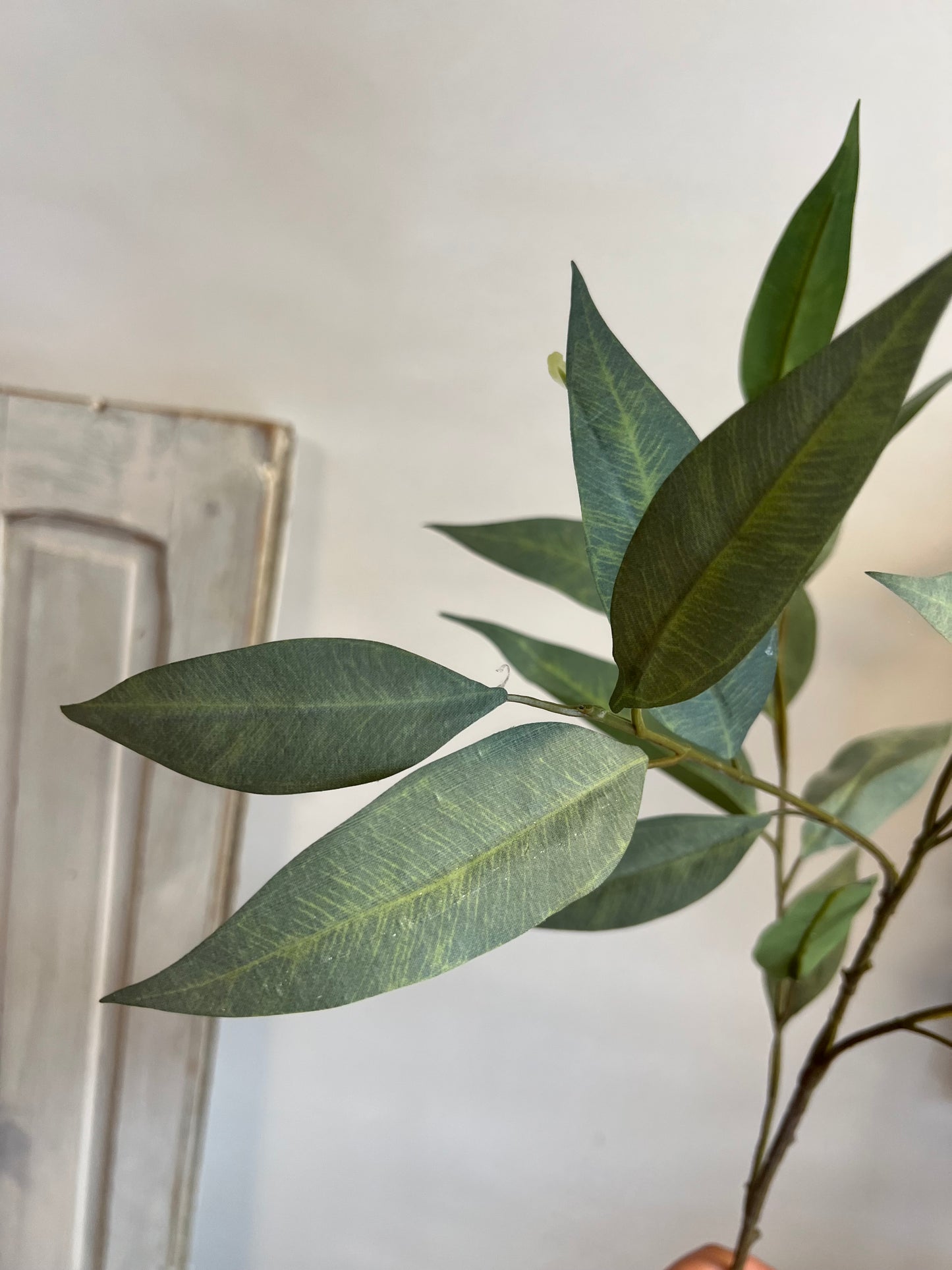 KUNST | EUCALYPTUS | 93 CM