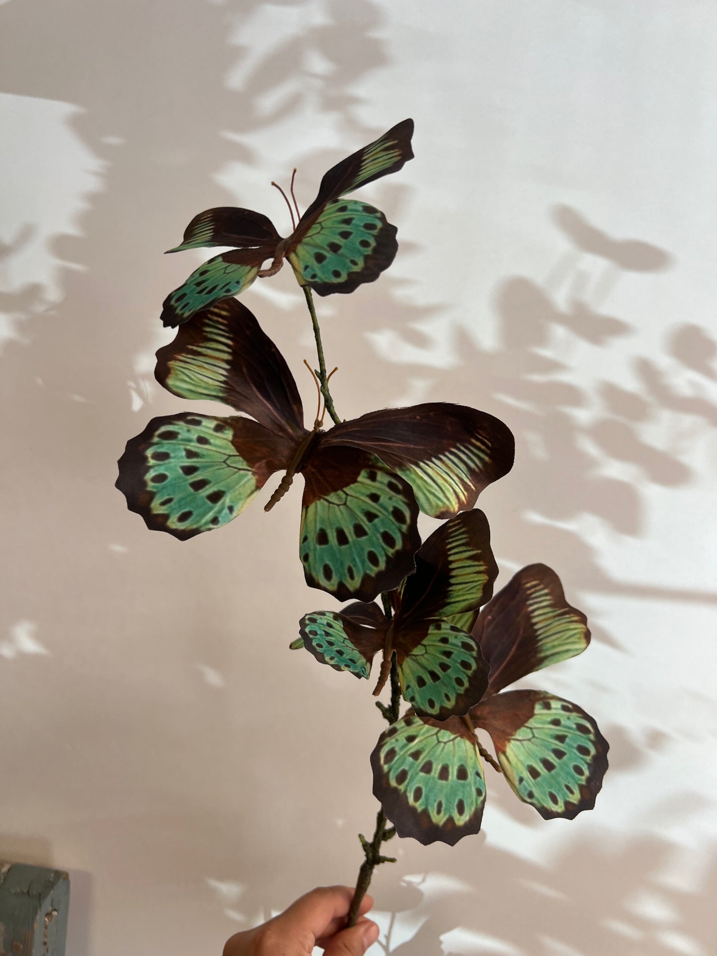 VLINDERTAK | 3 | KLEUREN