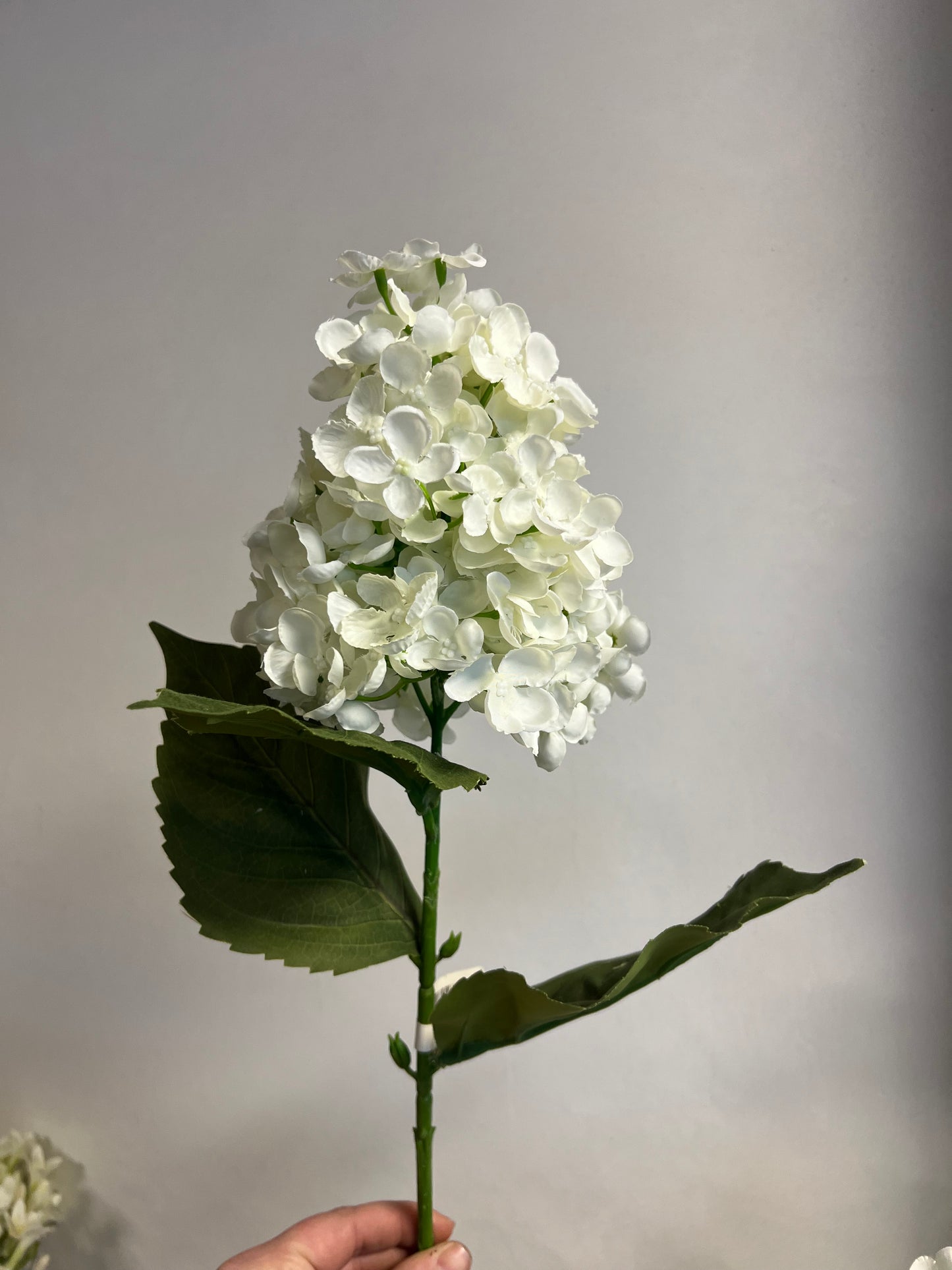 ZIJDEN | PUNT | HORTENSIA | WIT