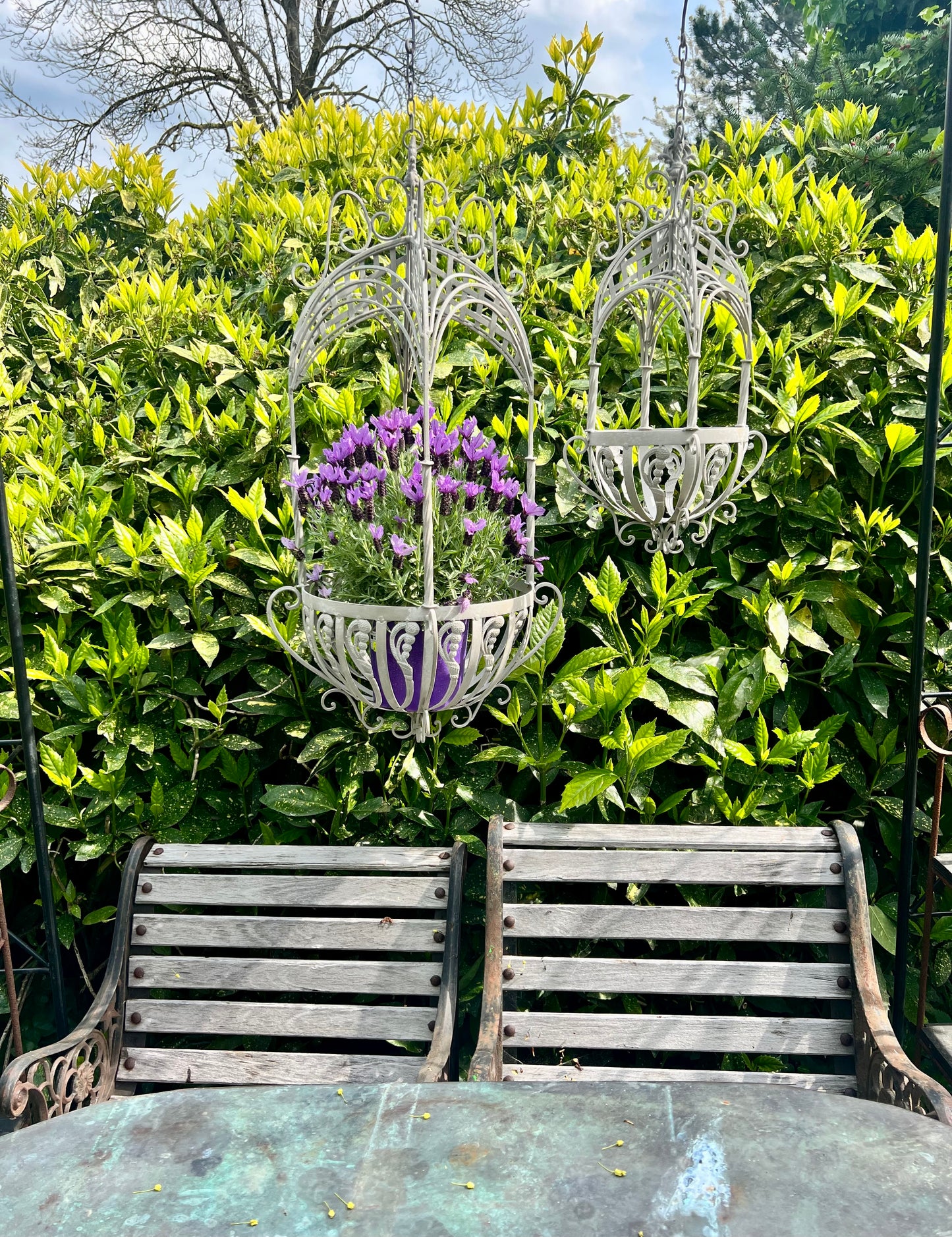 HANGING | BASKET | GROOT